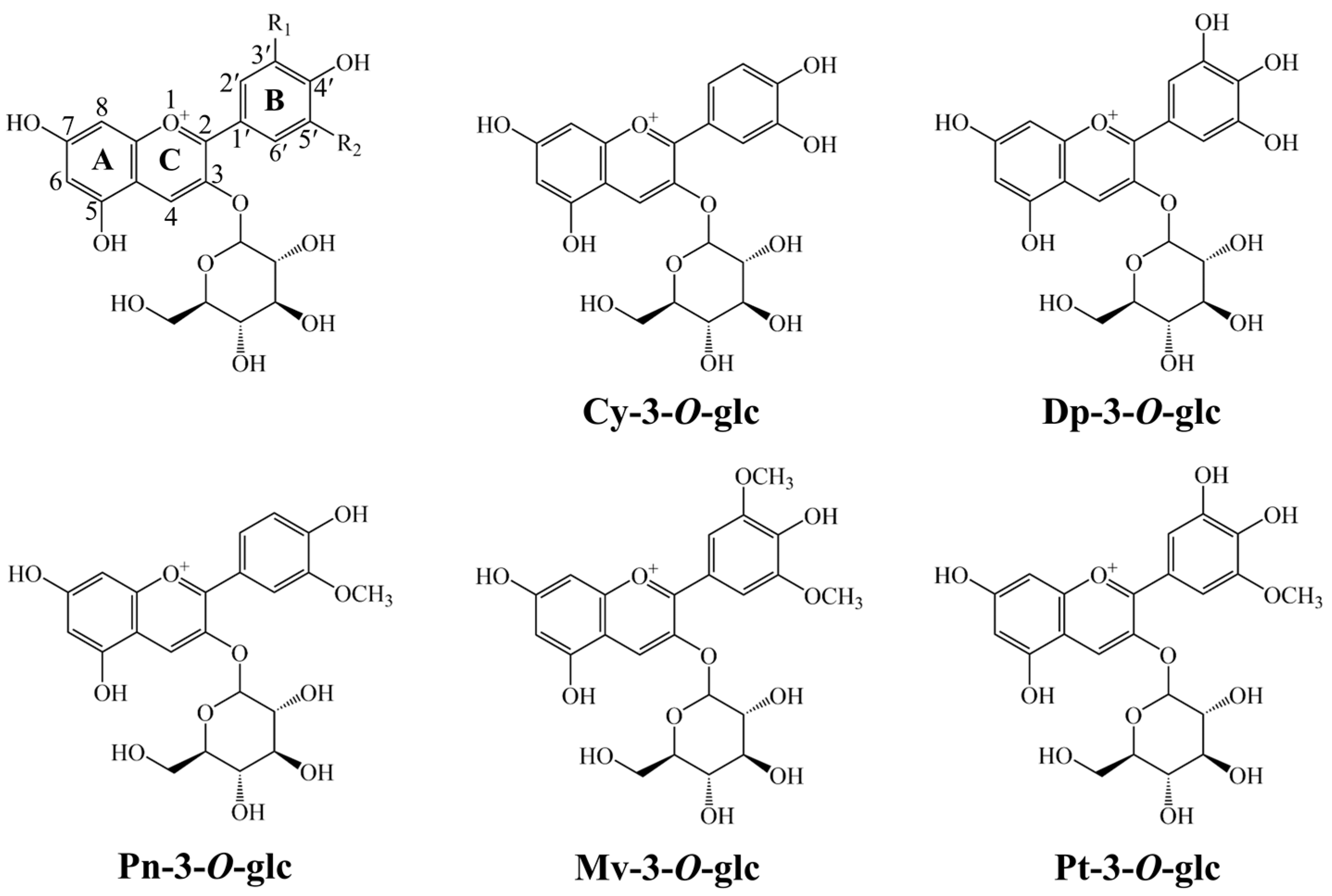 Antioxidants 13 01117 g001 Antioxidants 13 01117 g001