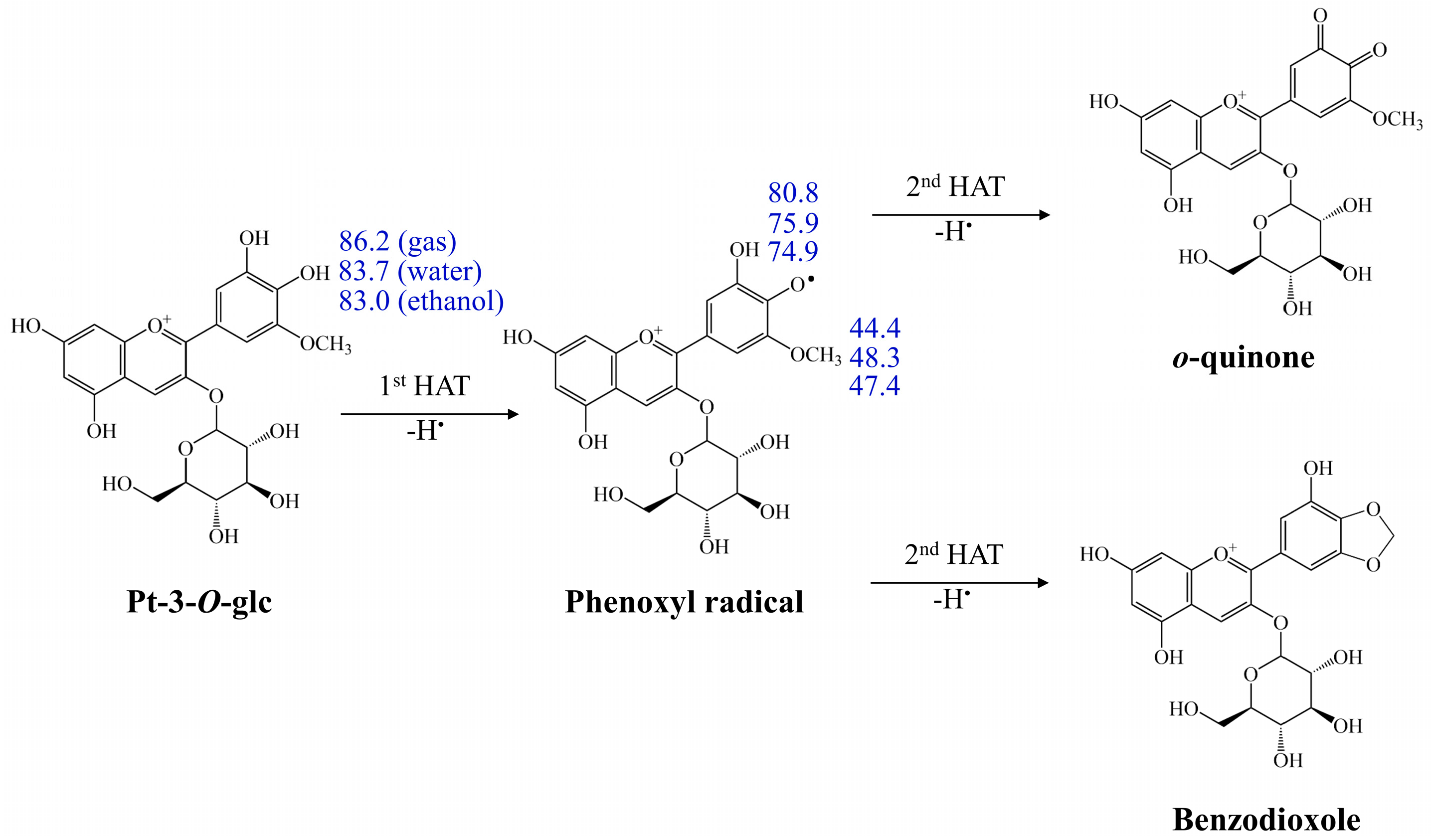 Antioxidants 13 01117 g002 Antioxidants 13 01117 g002