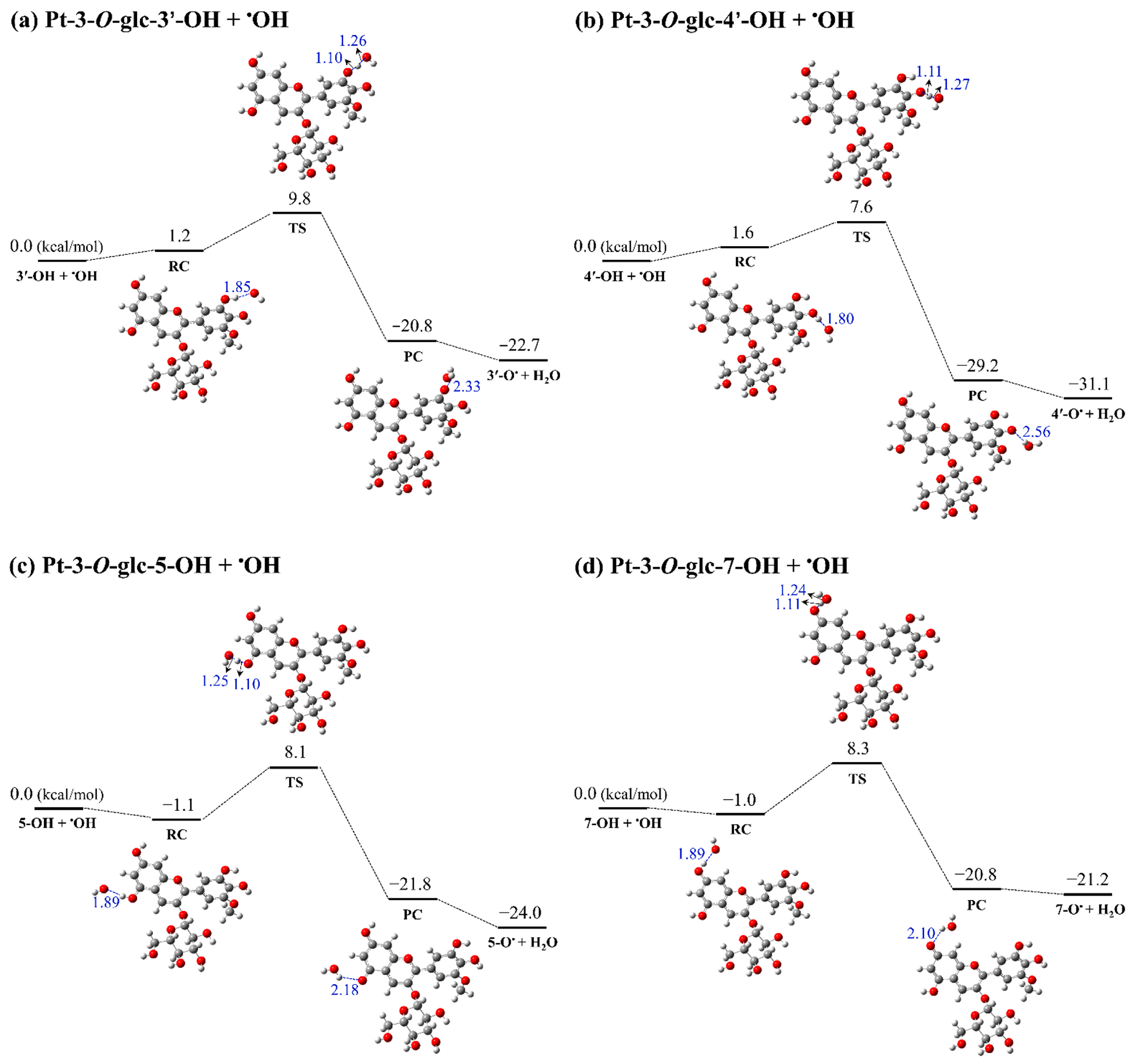 Antioxidants 13 01117 g003 Antioxidants 13 01117 g003