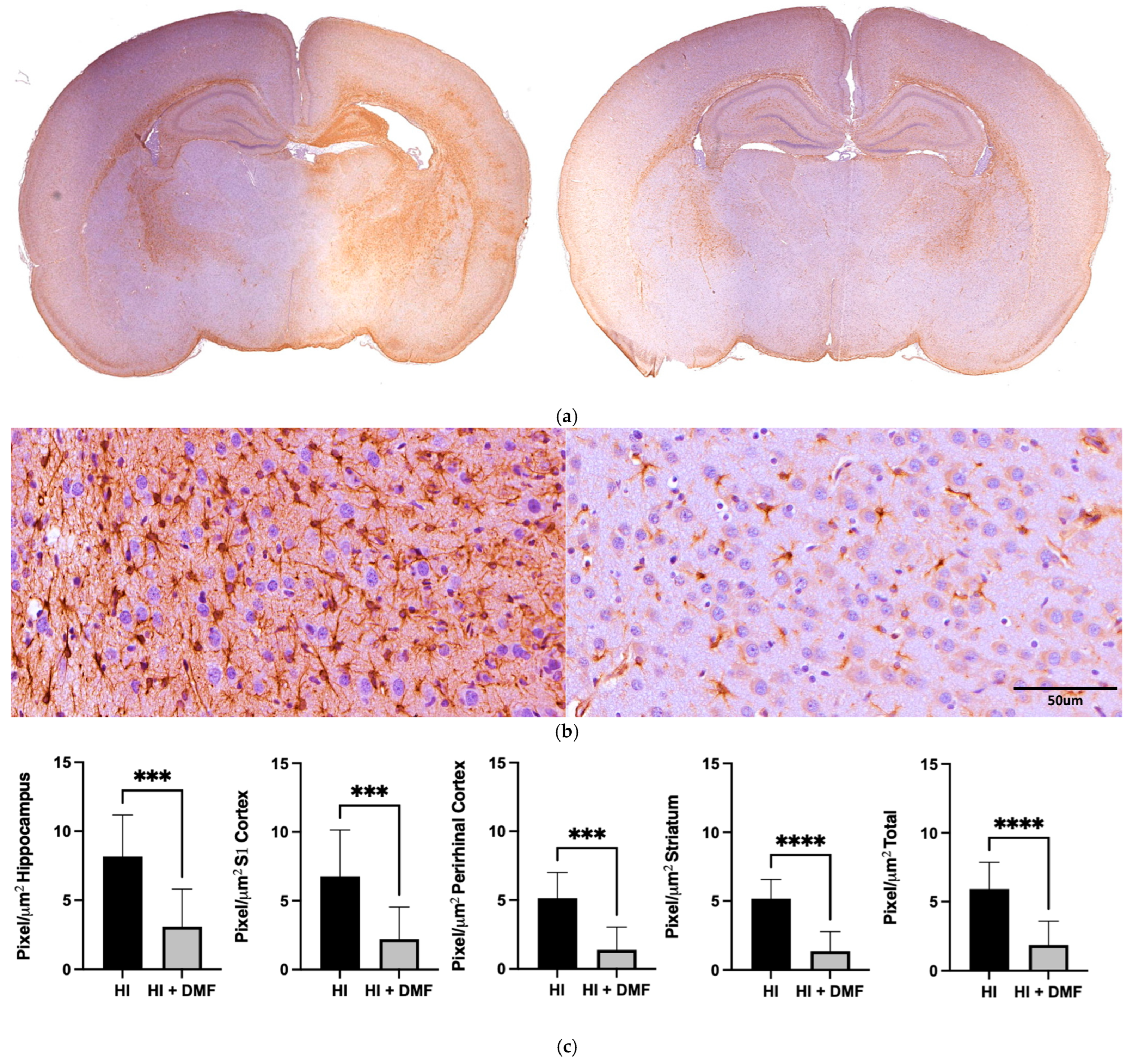Antioxidants 13 01122 g006