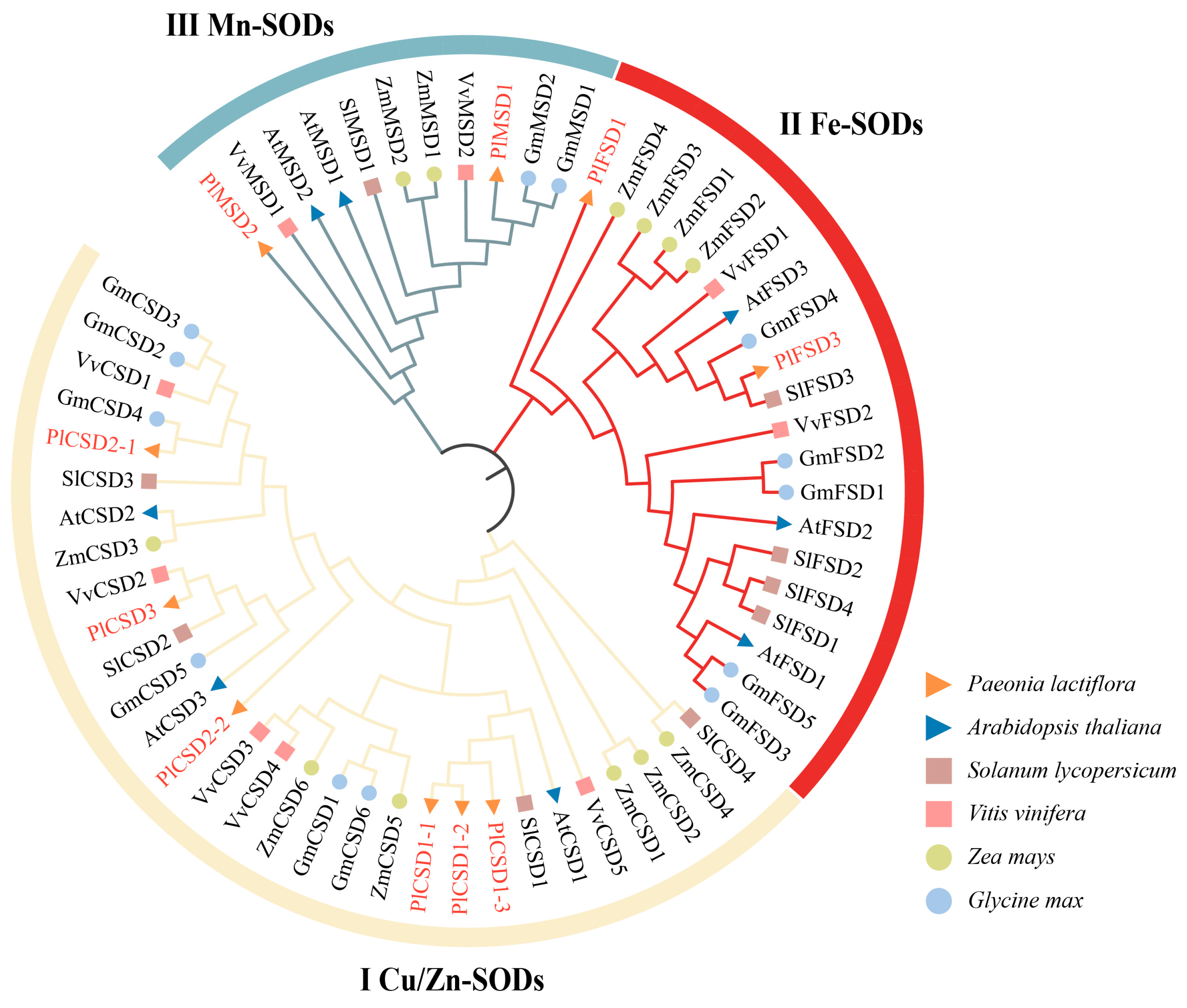 Antioxidants 13 01128 g001