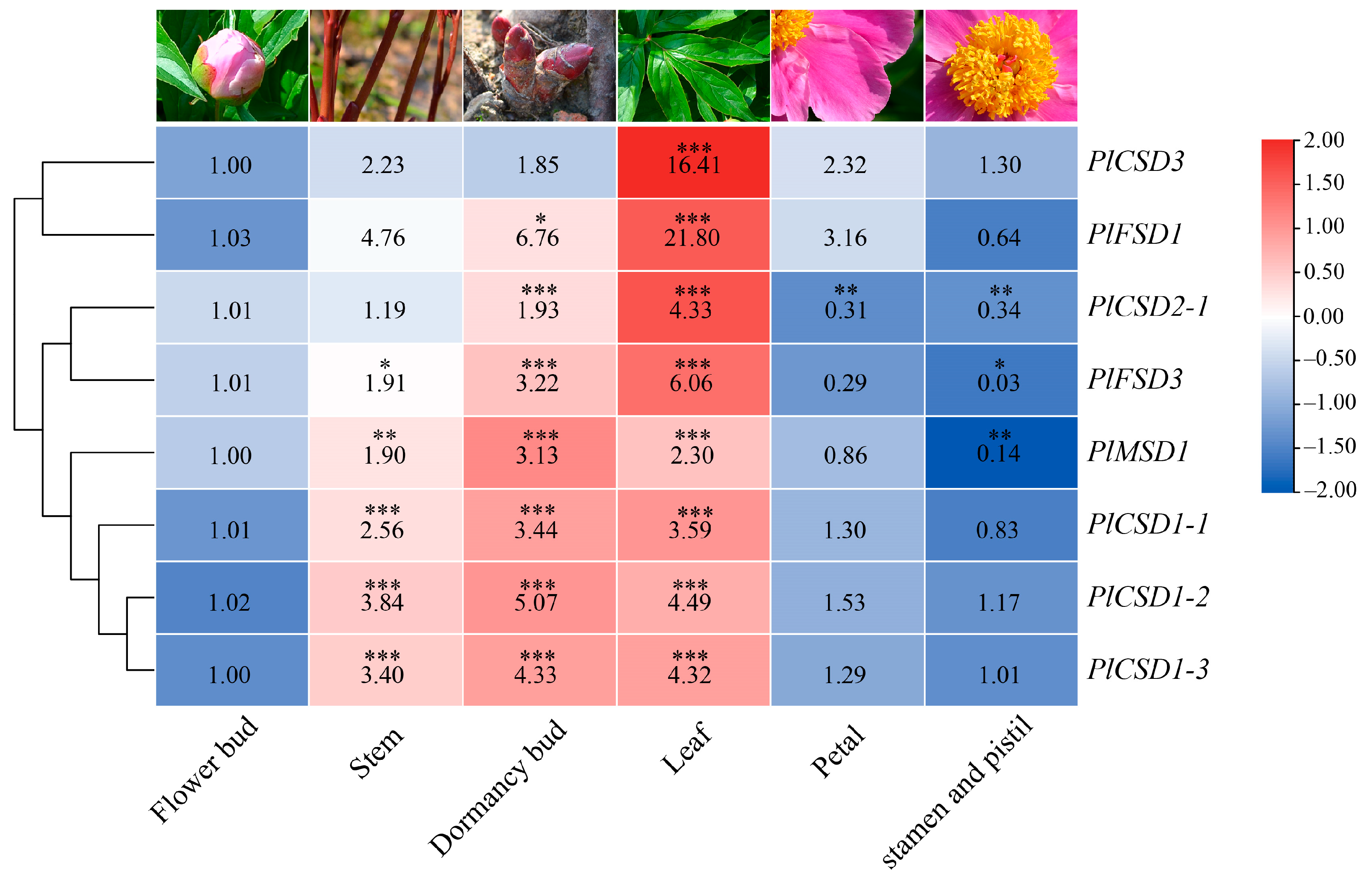 Antioxidants 13 01128 g004