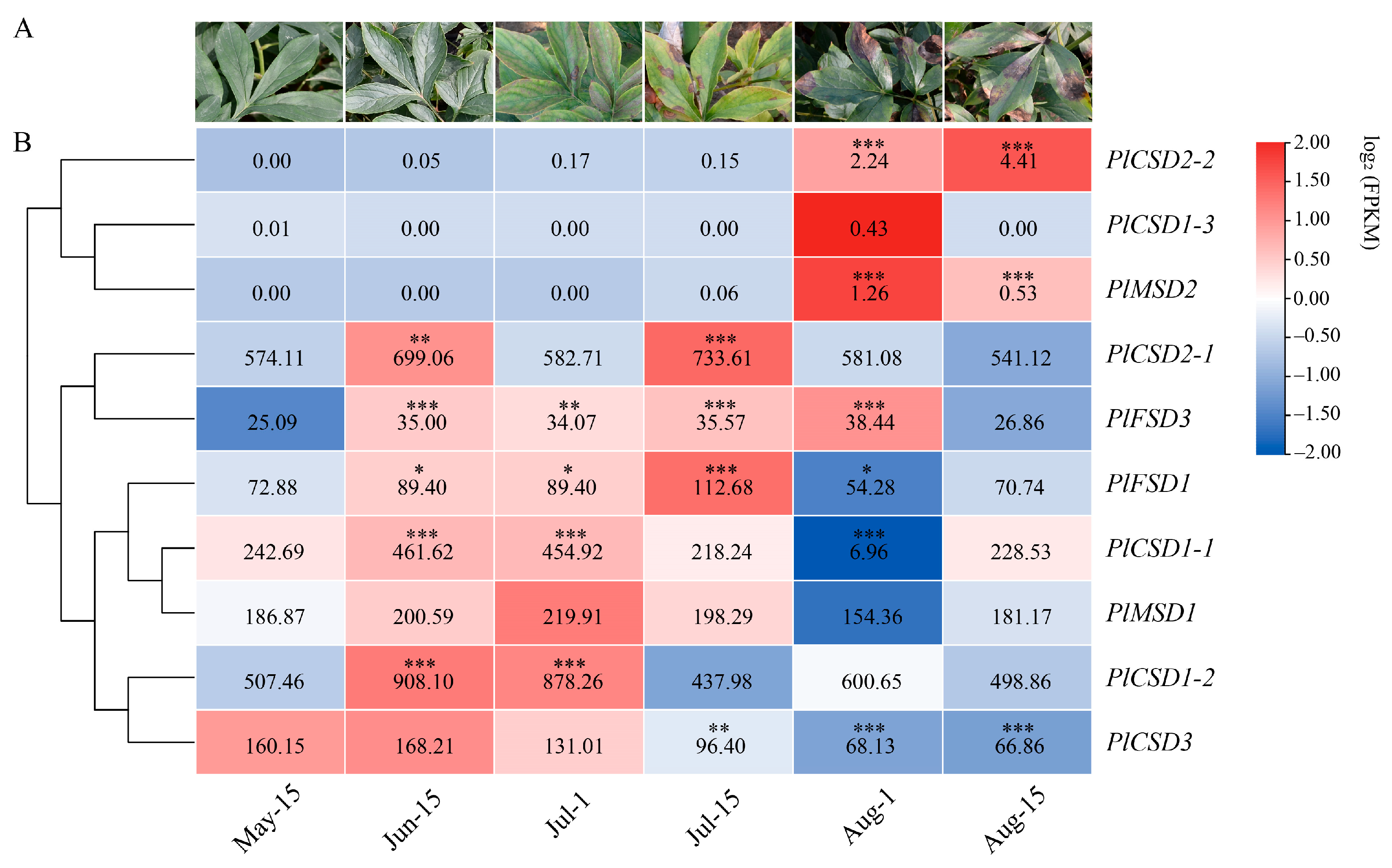 Antioxidants 13 01128 g005