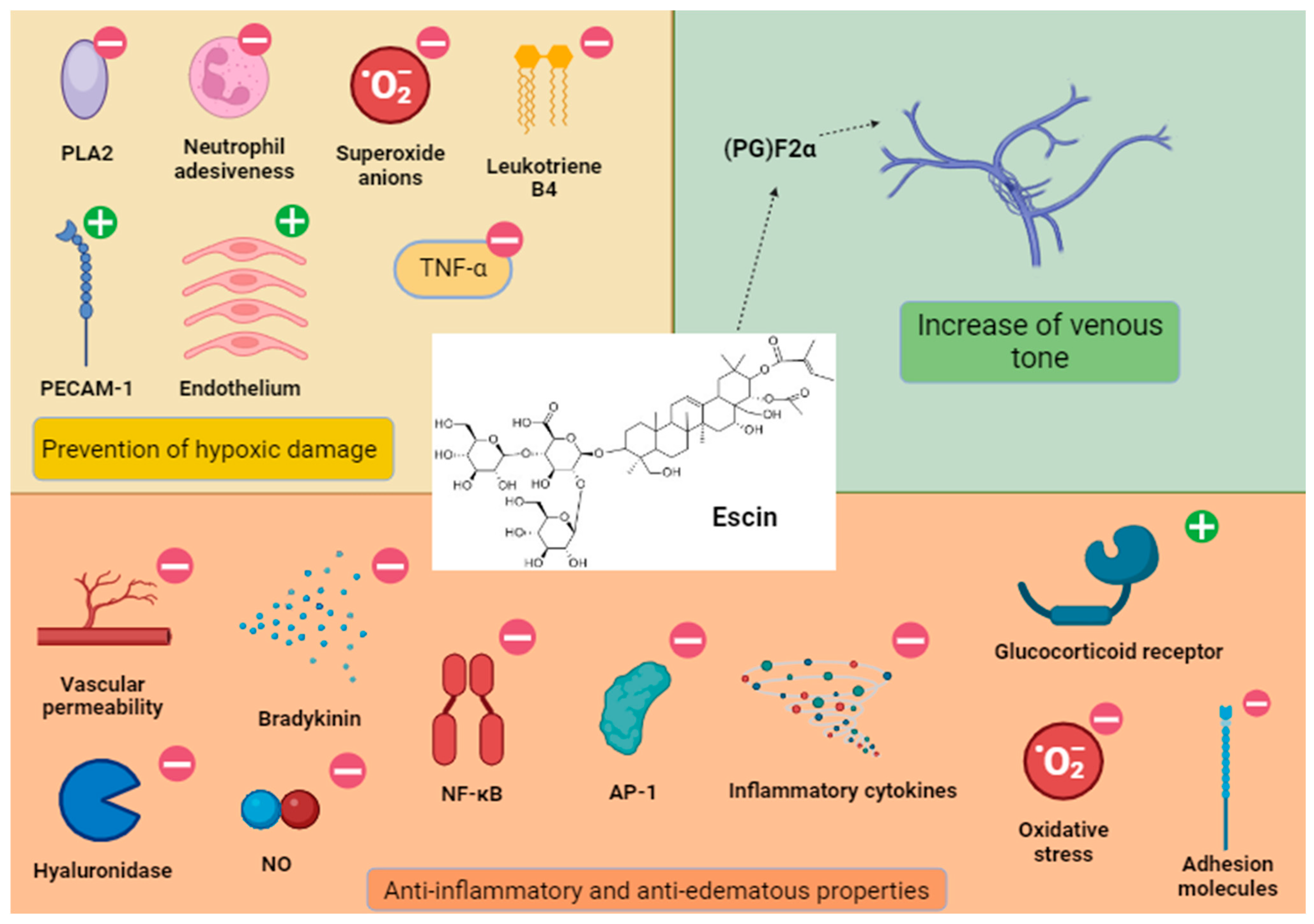 Antioxidants 13 01130 g001