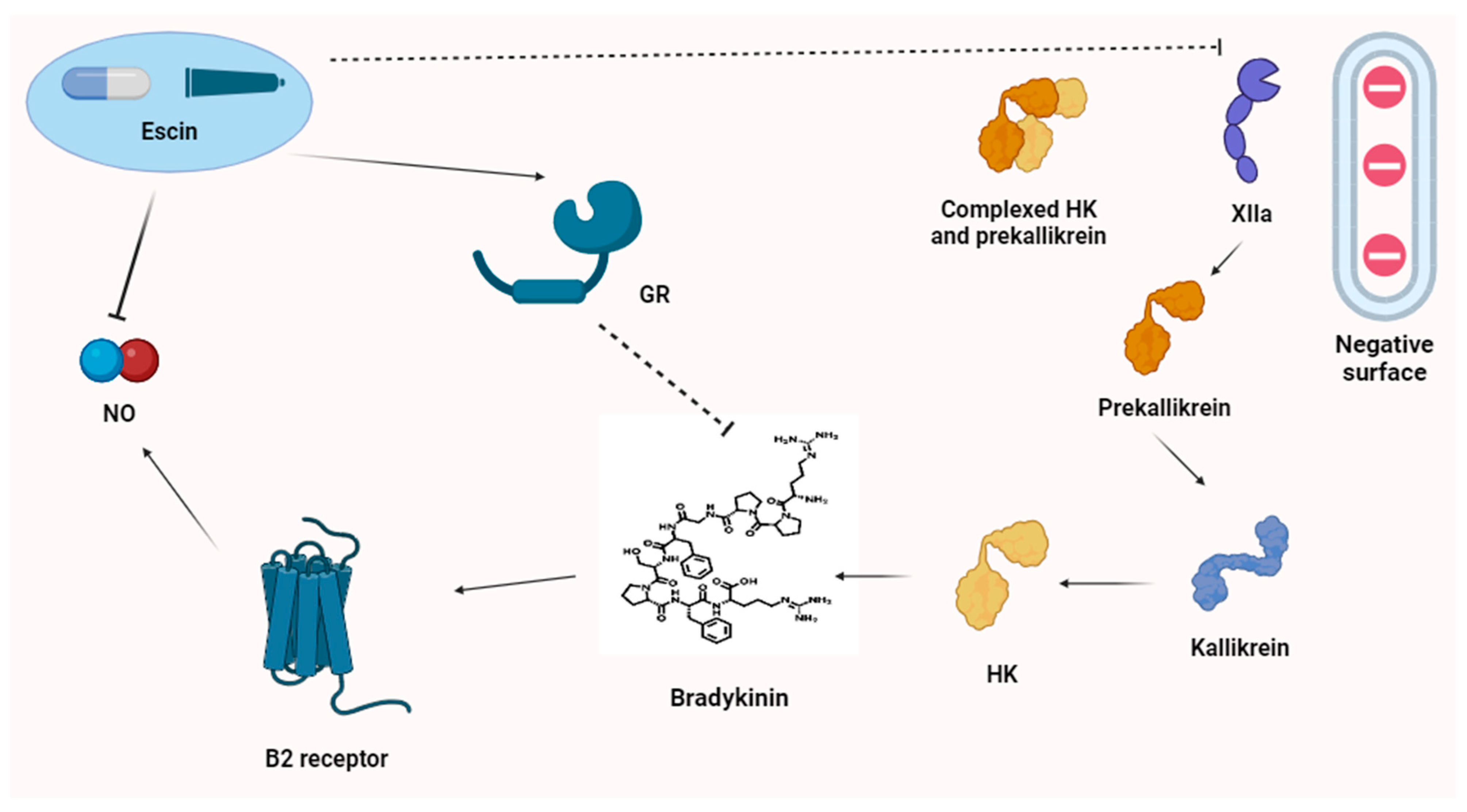 Antioxidants 13 01130 g002