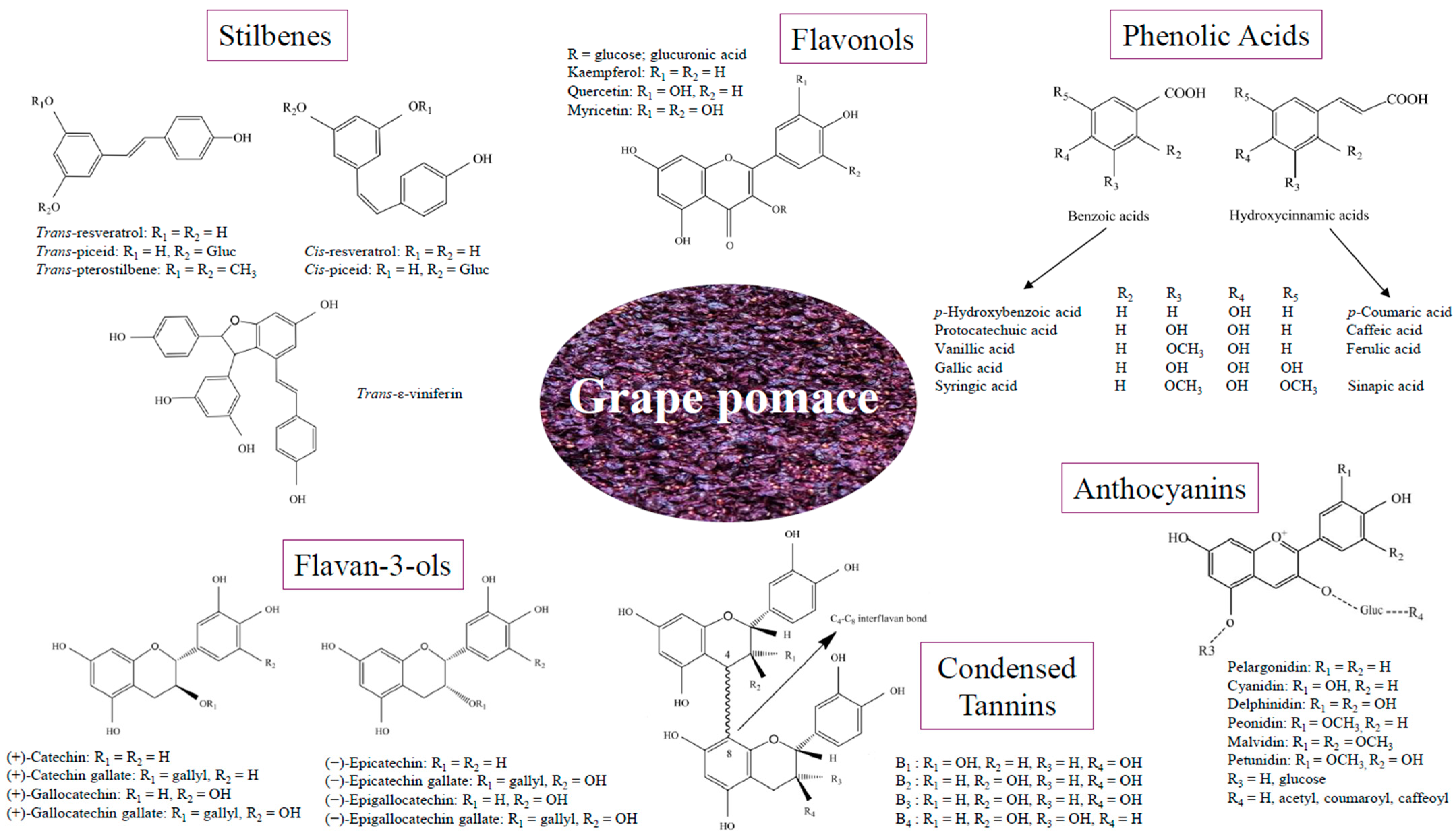 Antioxidants 13 01131 g001