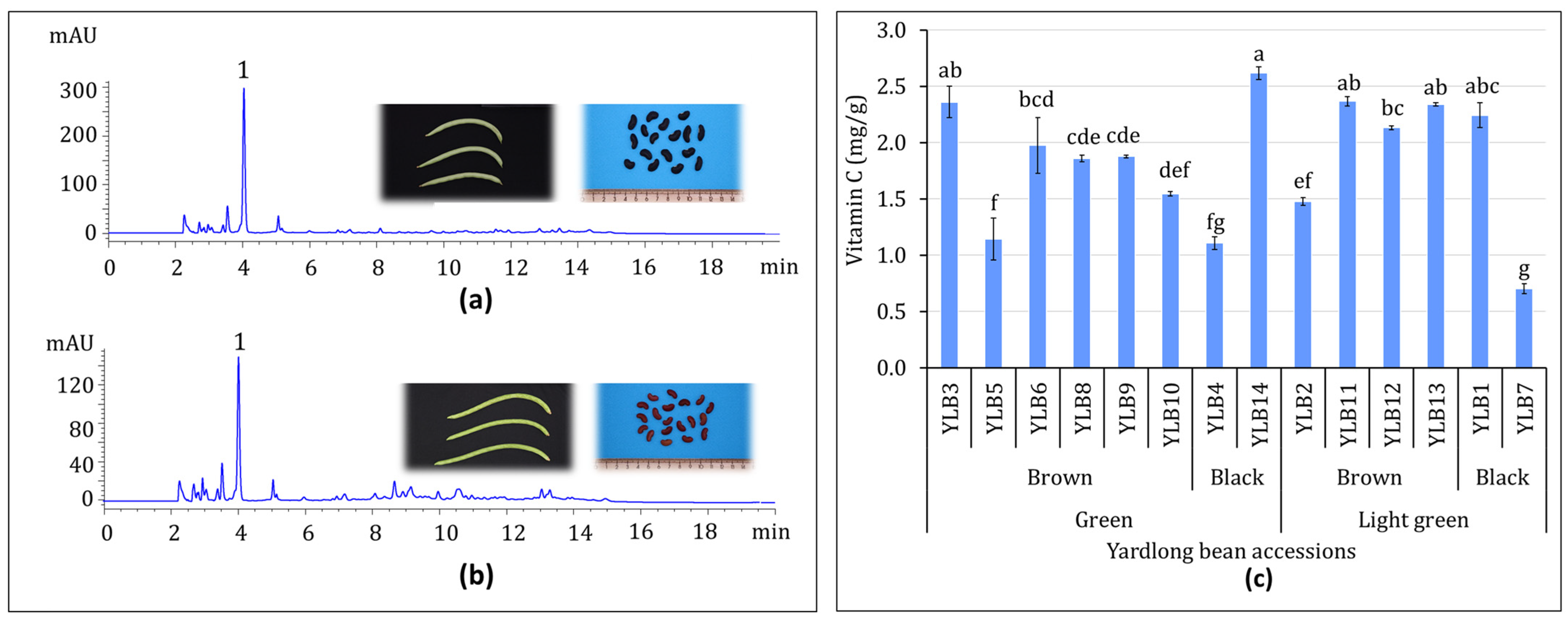 Antioxidants 13 01134 g002