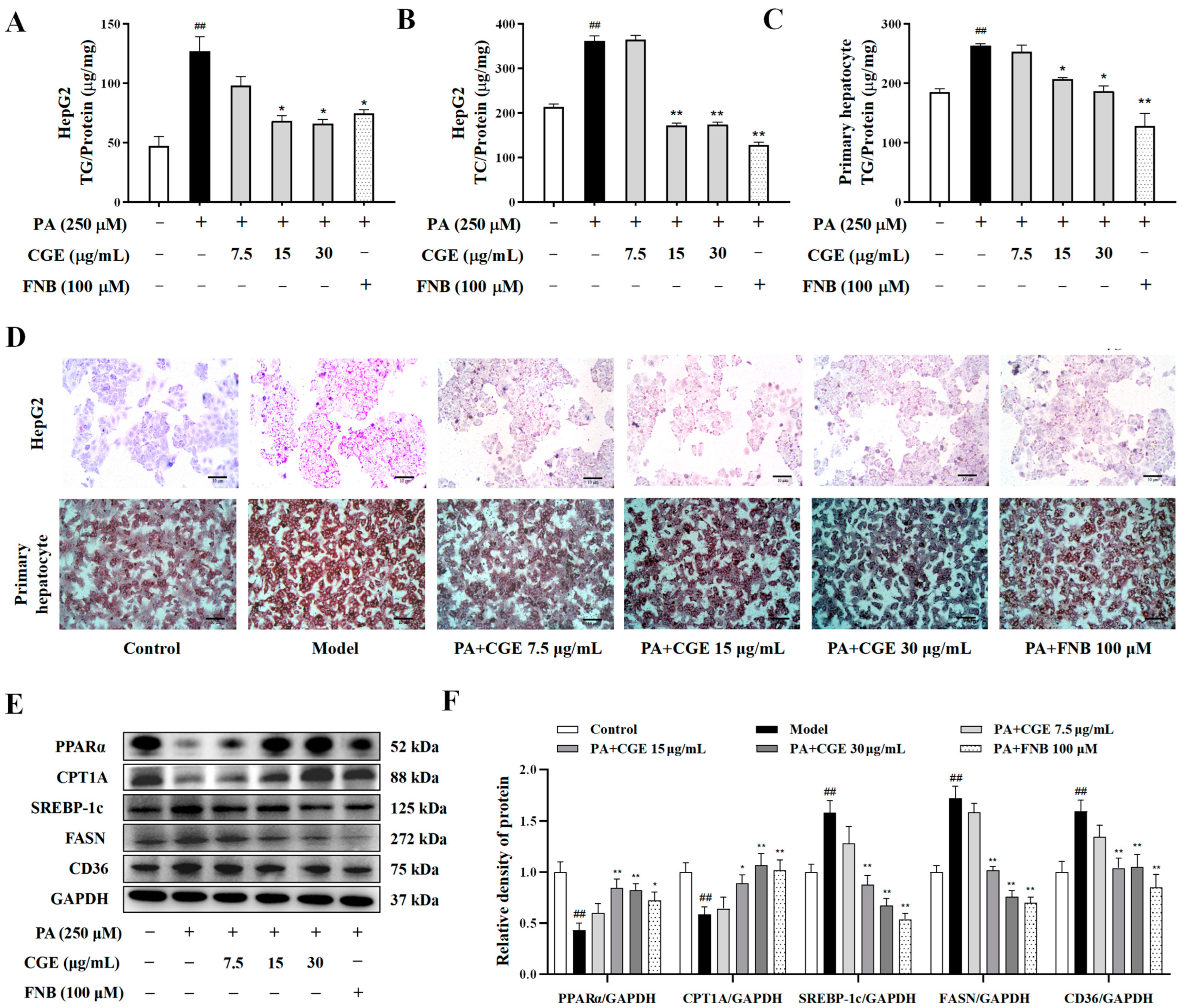 Antioxidants 13 01136 g002