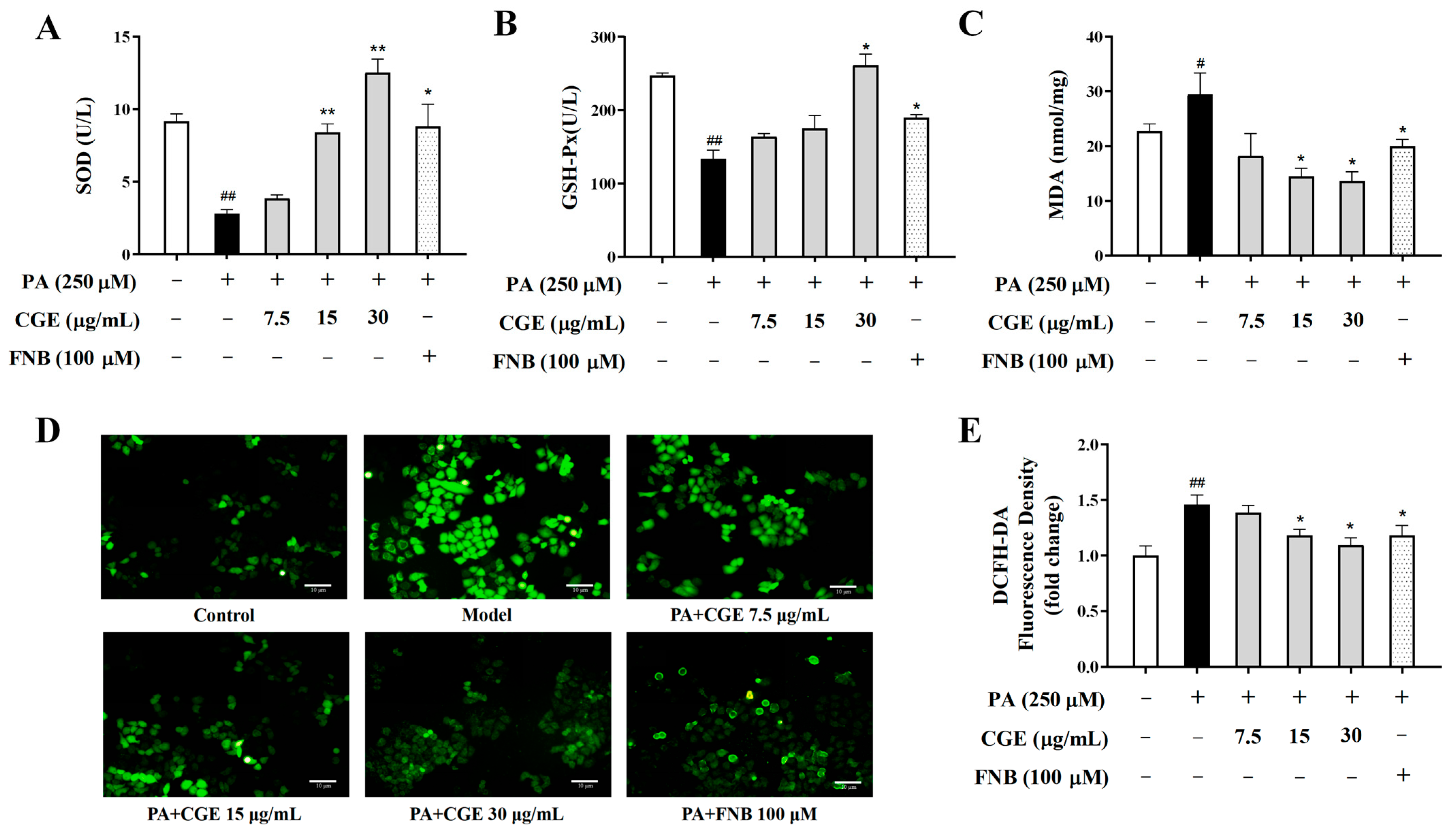 Antioxidants 13 01136 g003