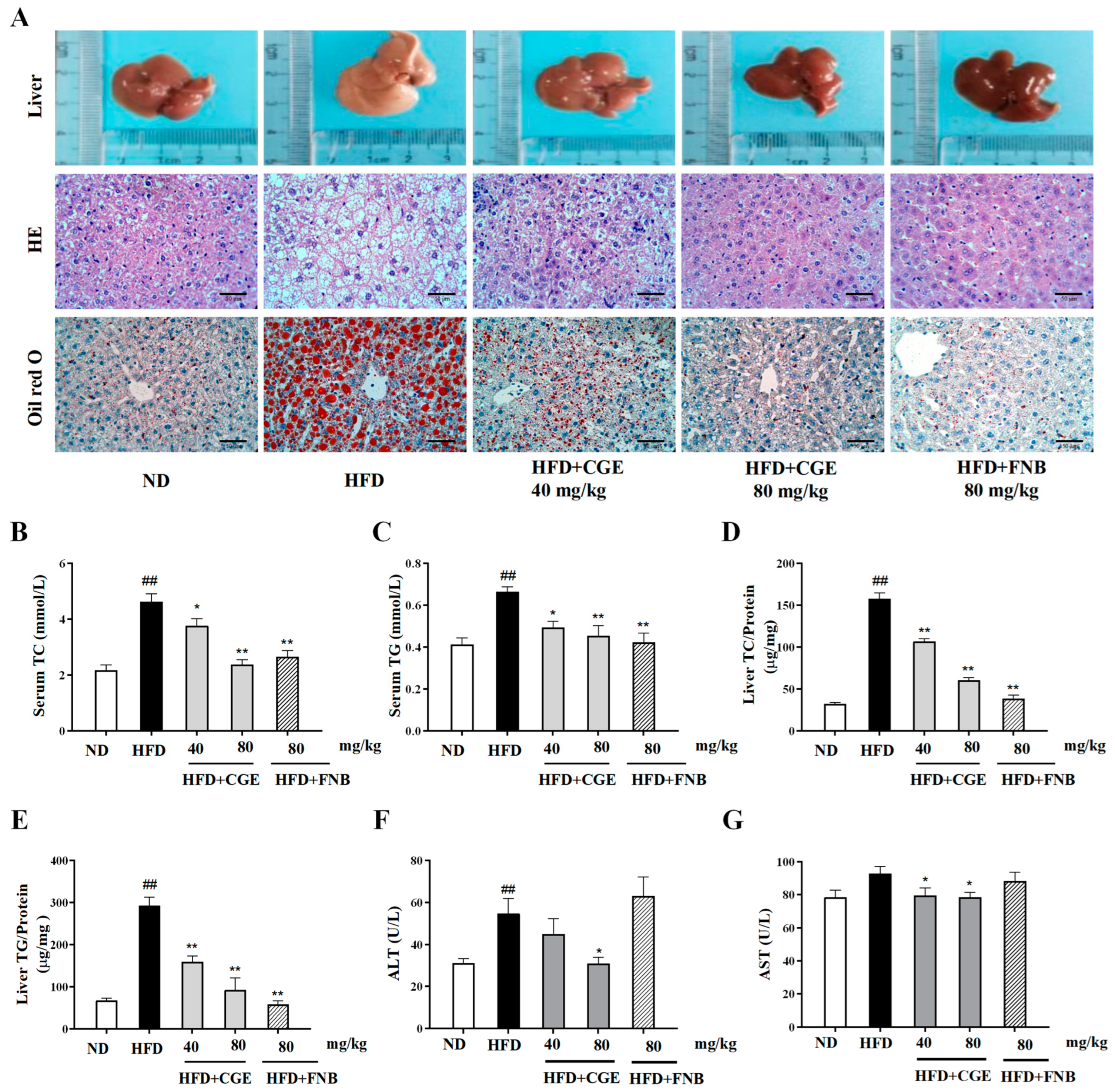 Antioxidants 13 01136 g006