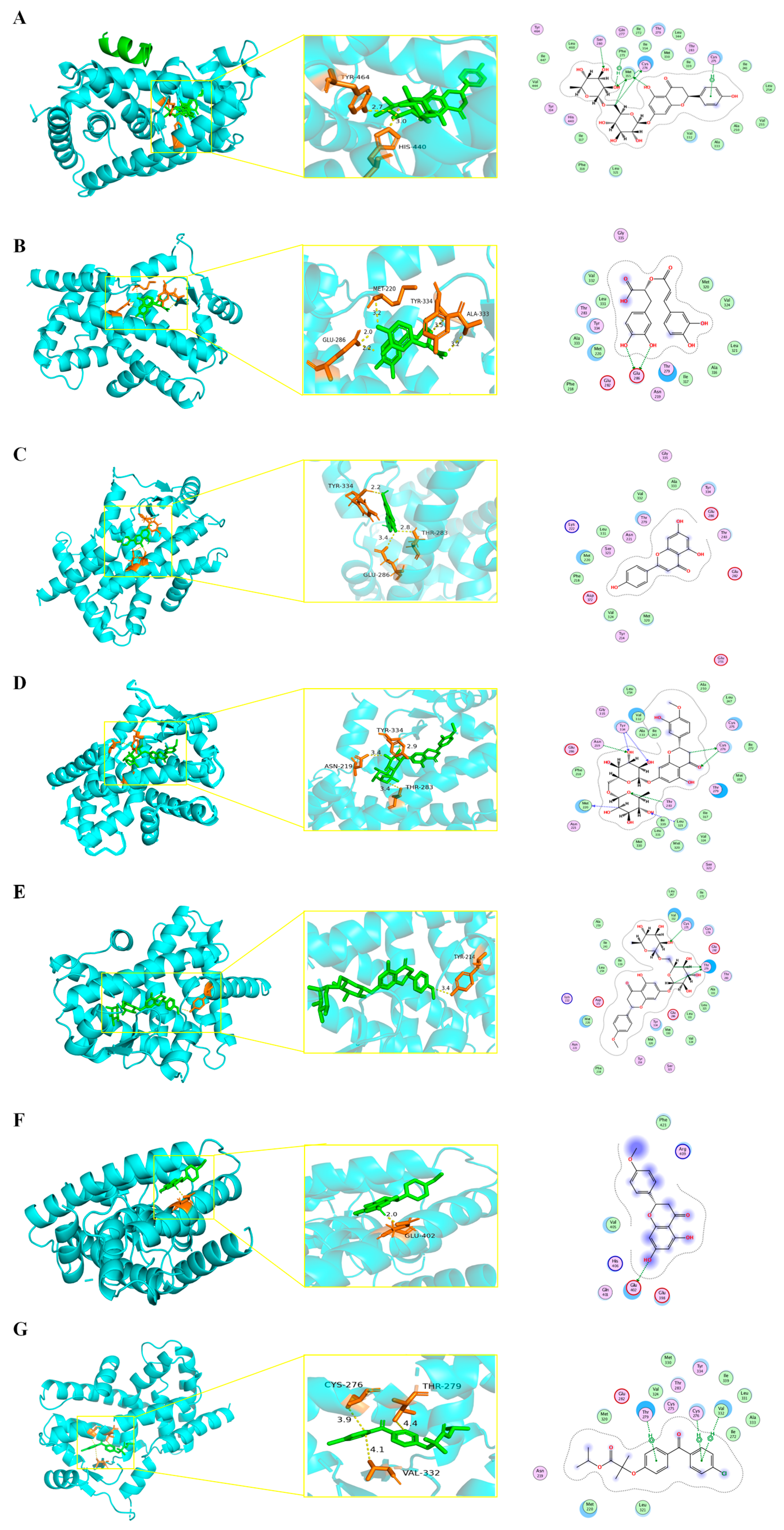 Antioxidants 13 01136 g008