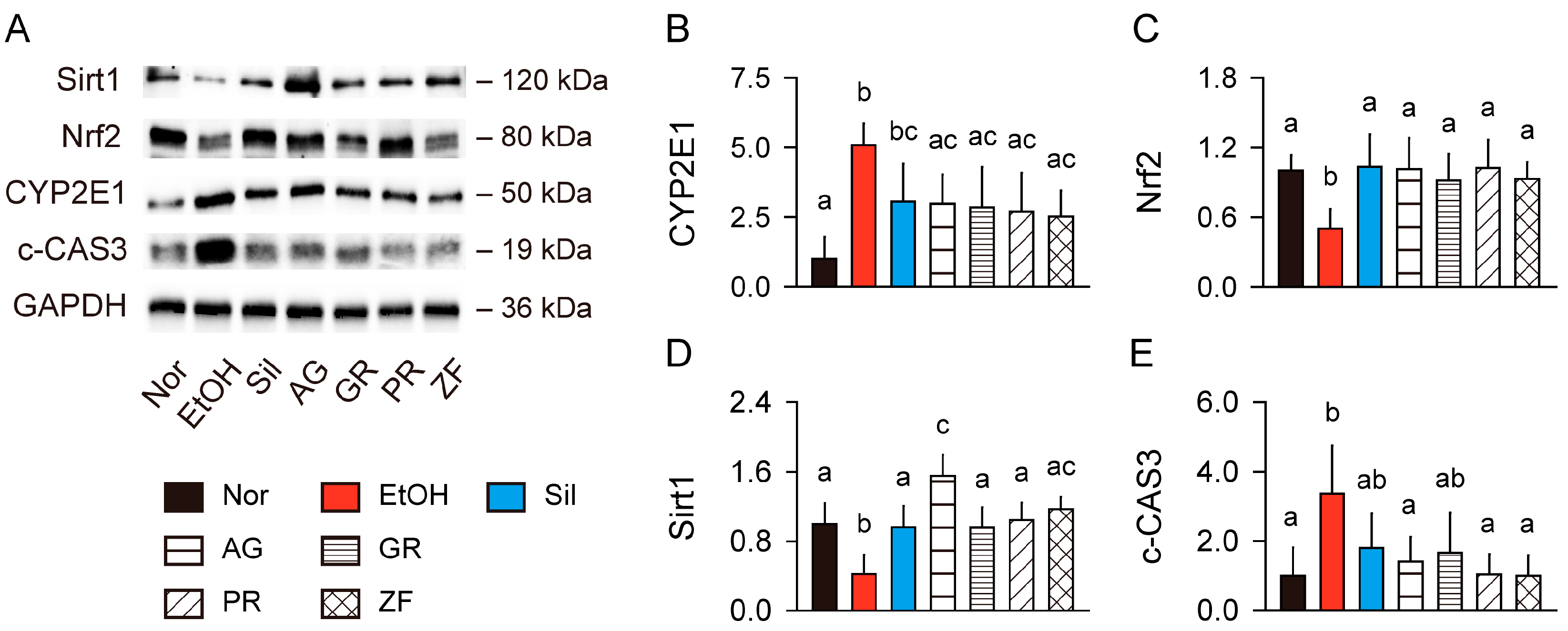Antioxidants 13 01137 g004