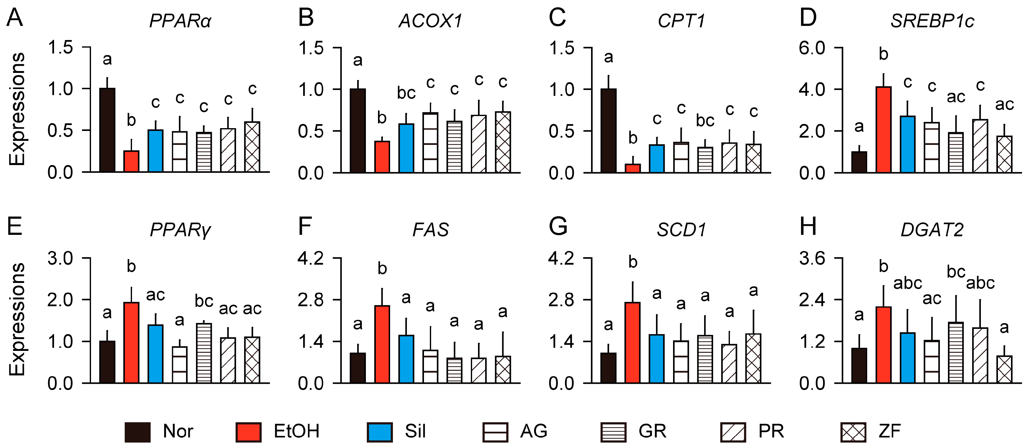 Antioxidants 13 01137 g005