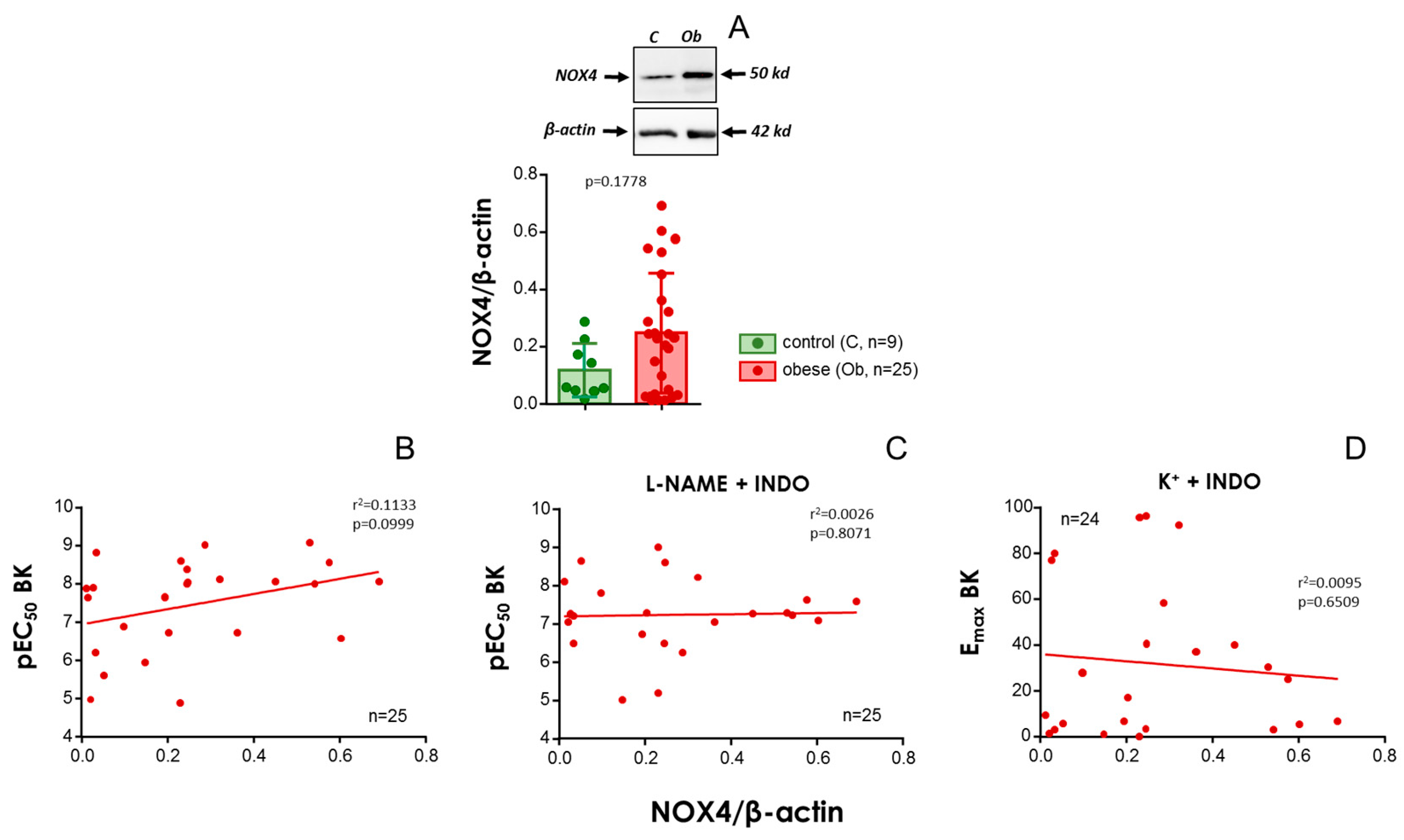 Antioxidants 13 01139 g005