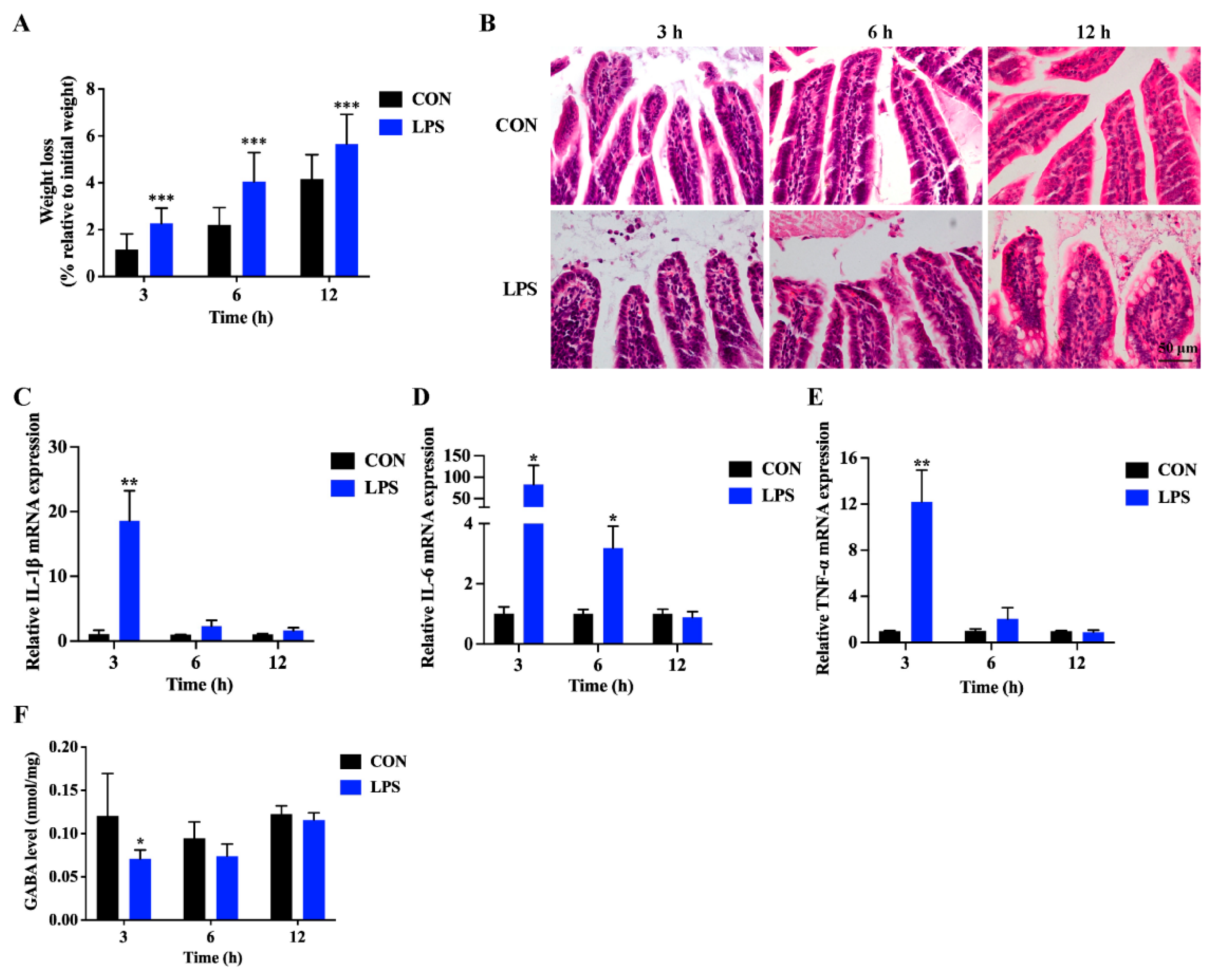 Antioxidants 13 01141 g001