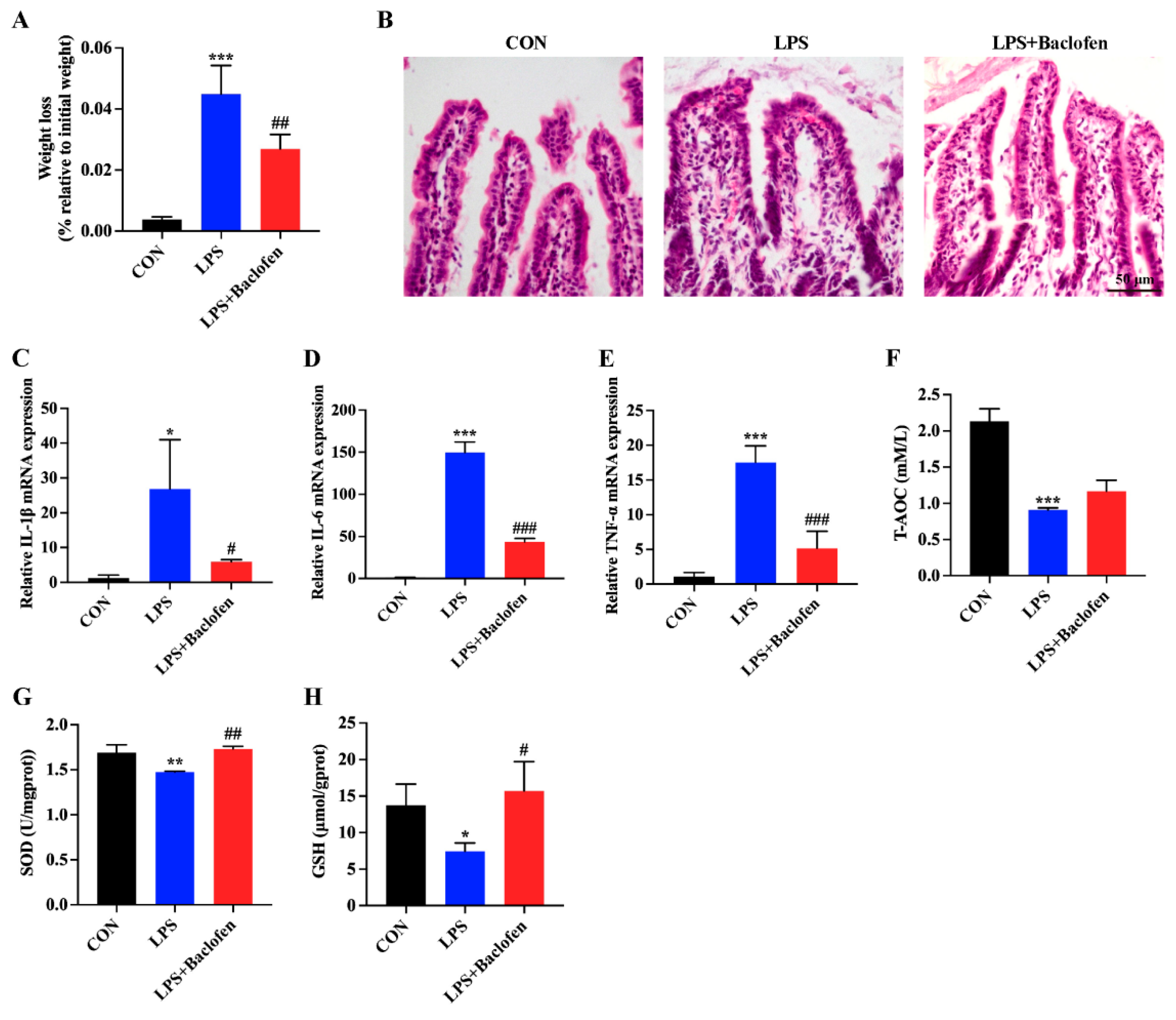 Antioxidants 13 01141 g004