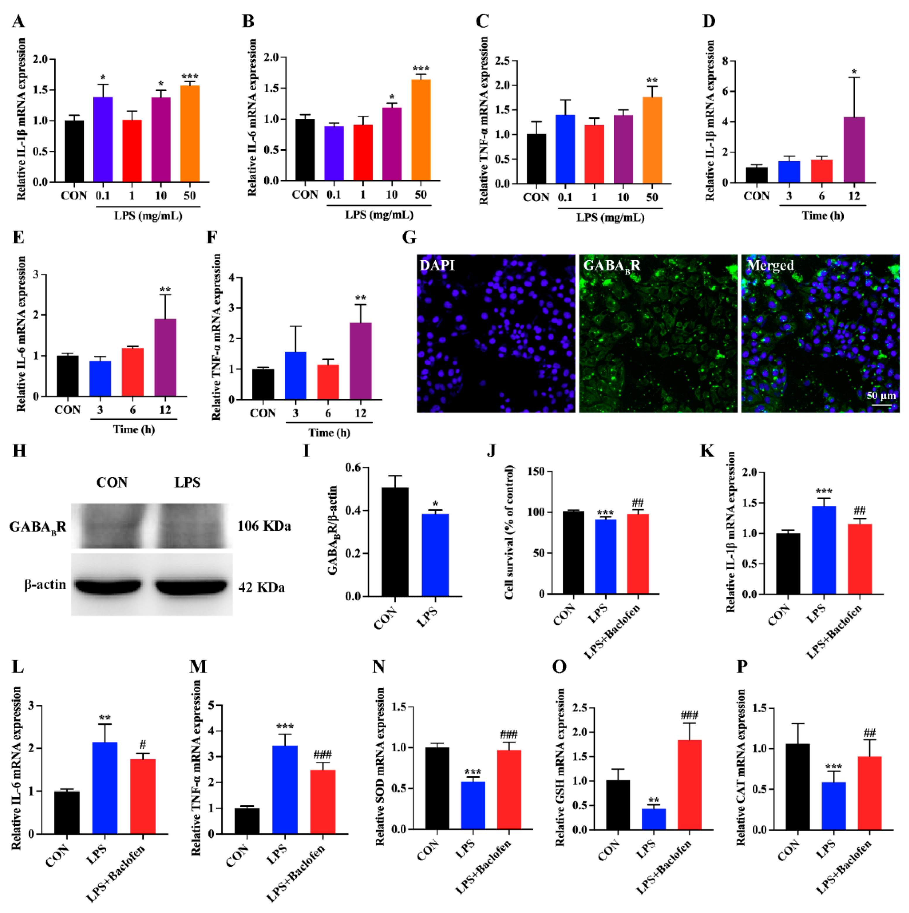 Antioxidants 13 01141 g005