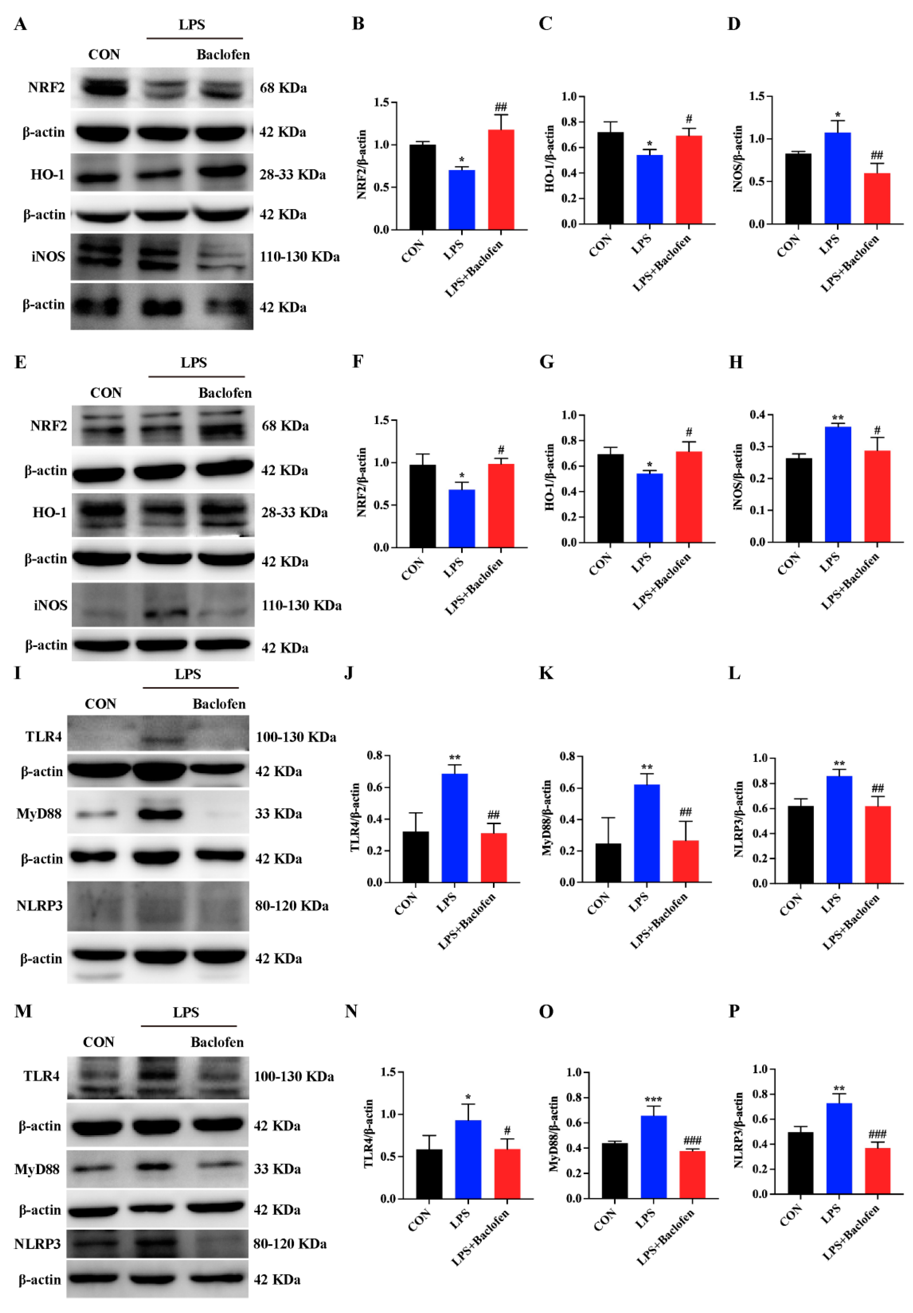 Antioxidants 13 01141 g006