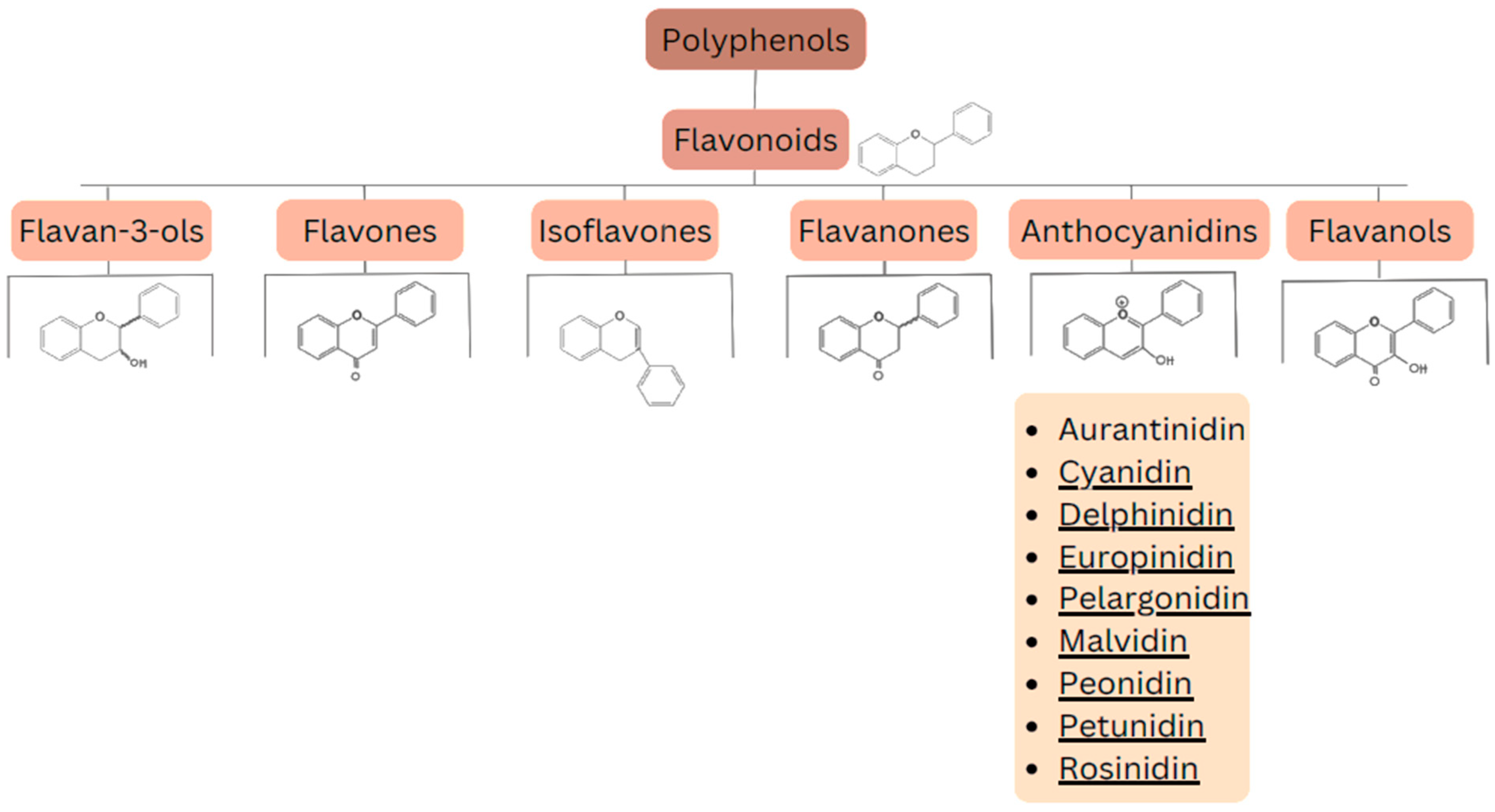 Antioxidants 13 01143 g003