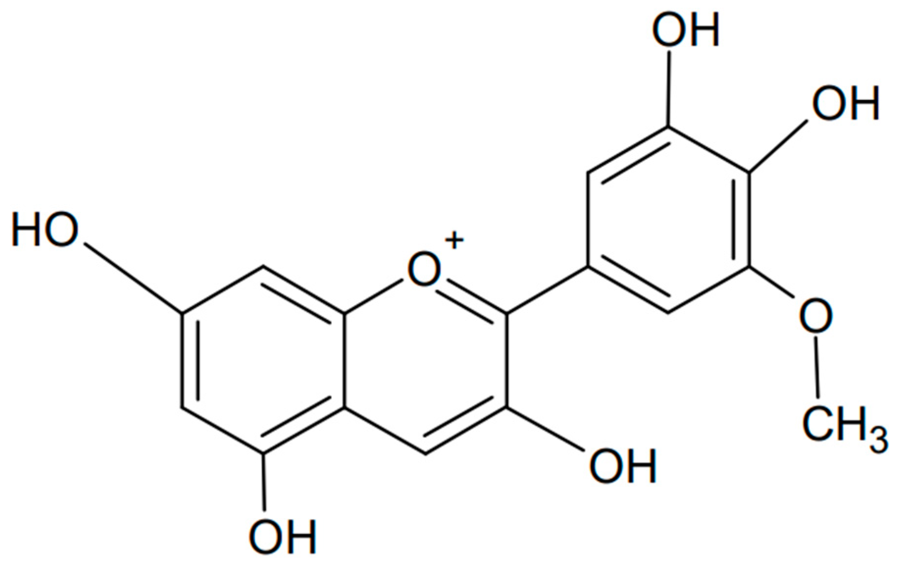 Antioxidants 13 01143 g008