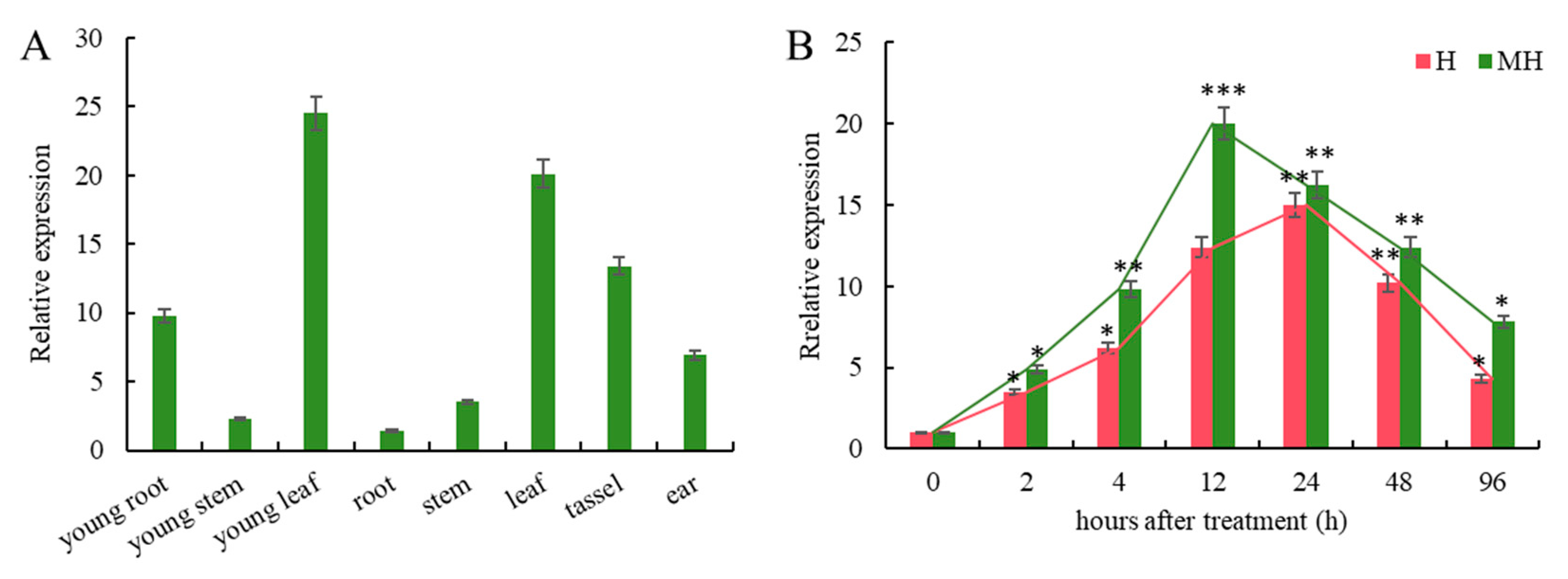 Antioxidants 13 01144 g001