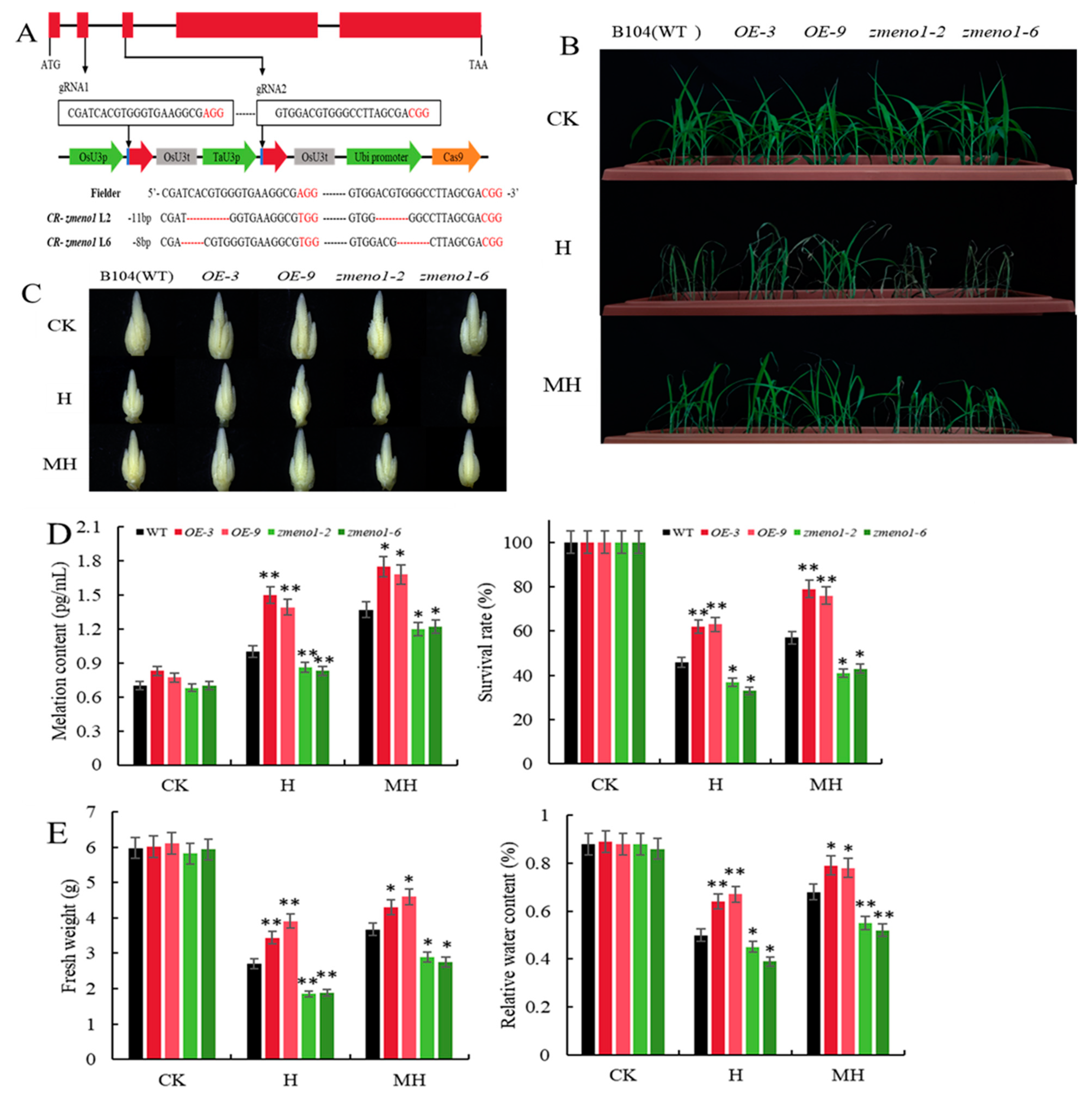Antioxidants 13 01144 g002
