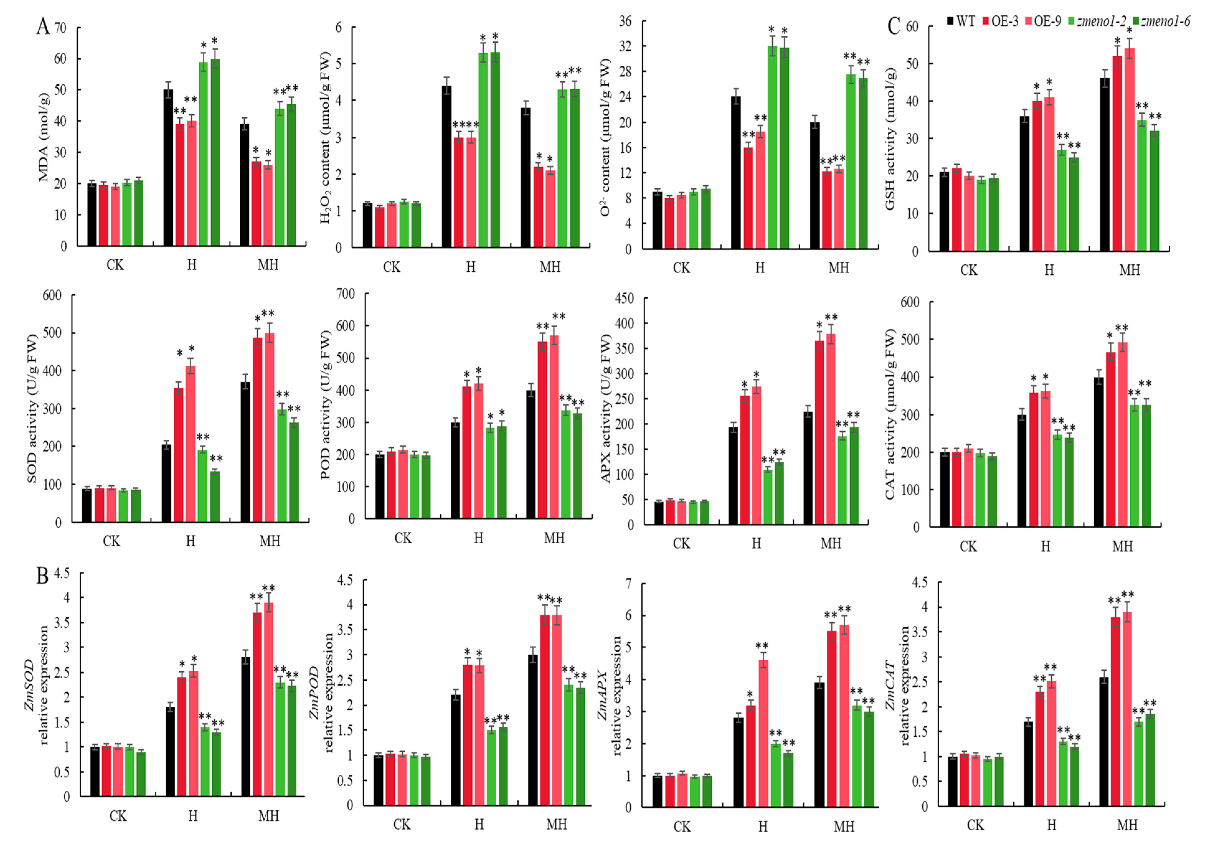 Antioxidants 13 01144 g003