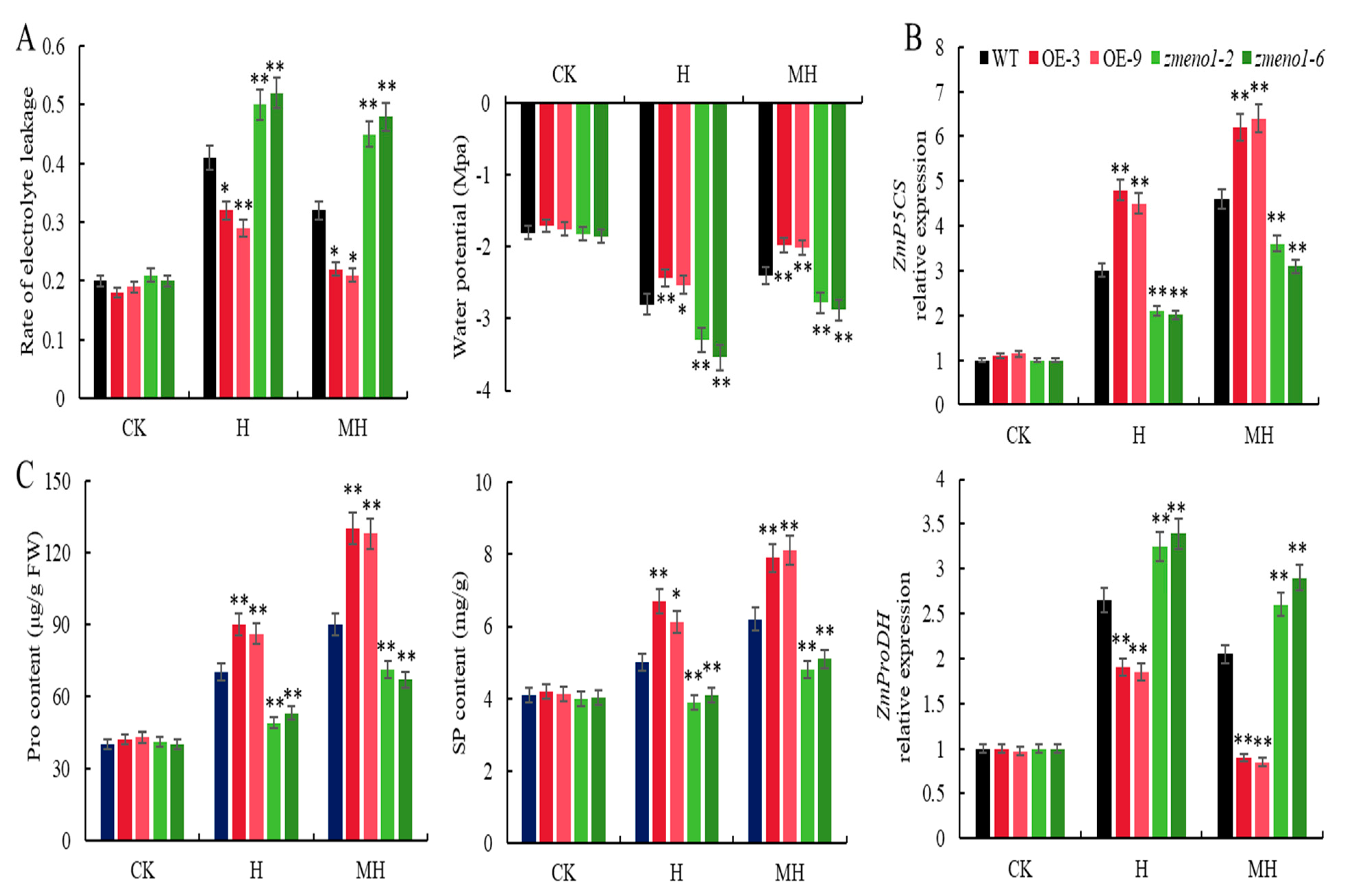 Antioxidants 13 01144 g004