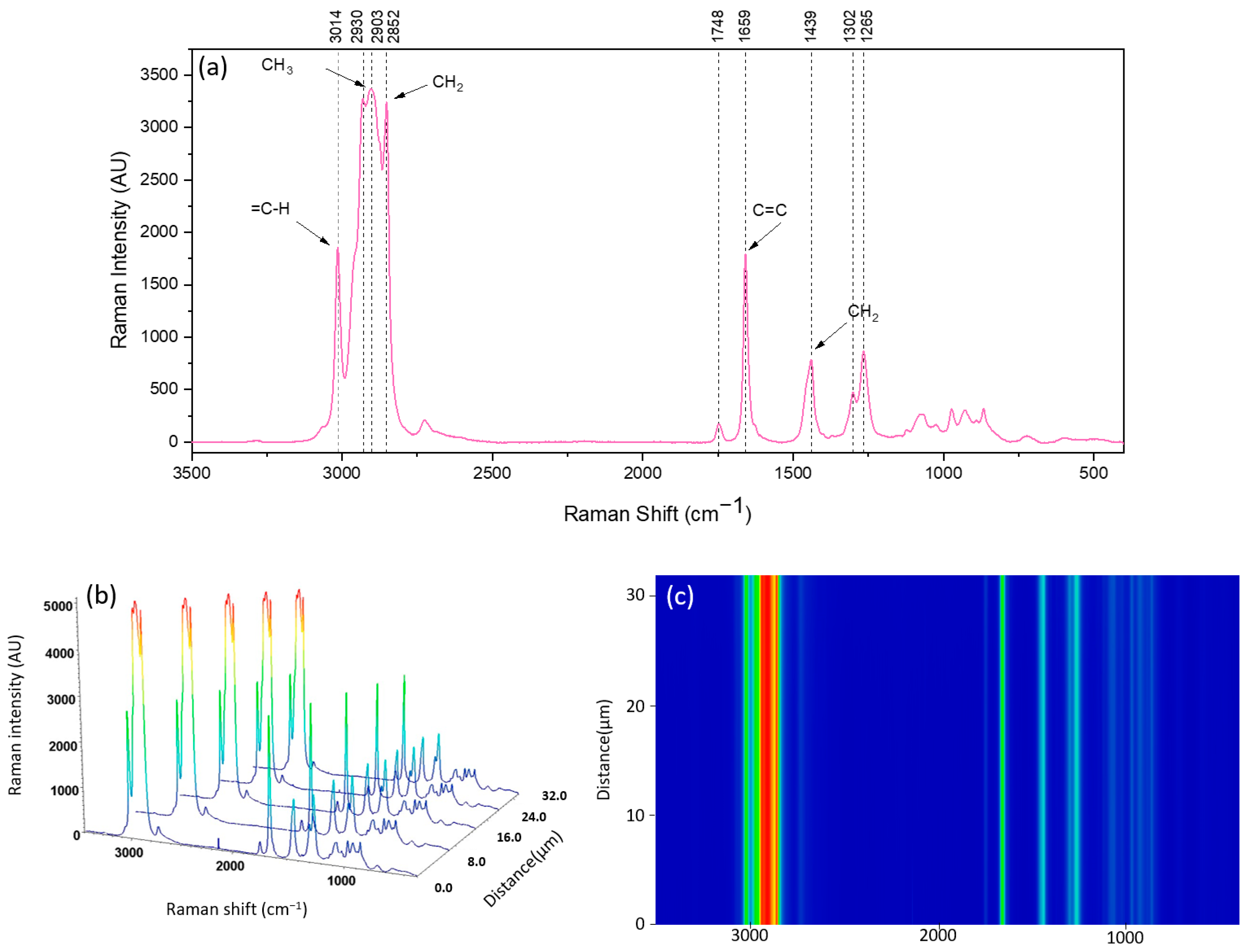 Antioxidants 13 01145 g005