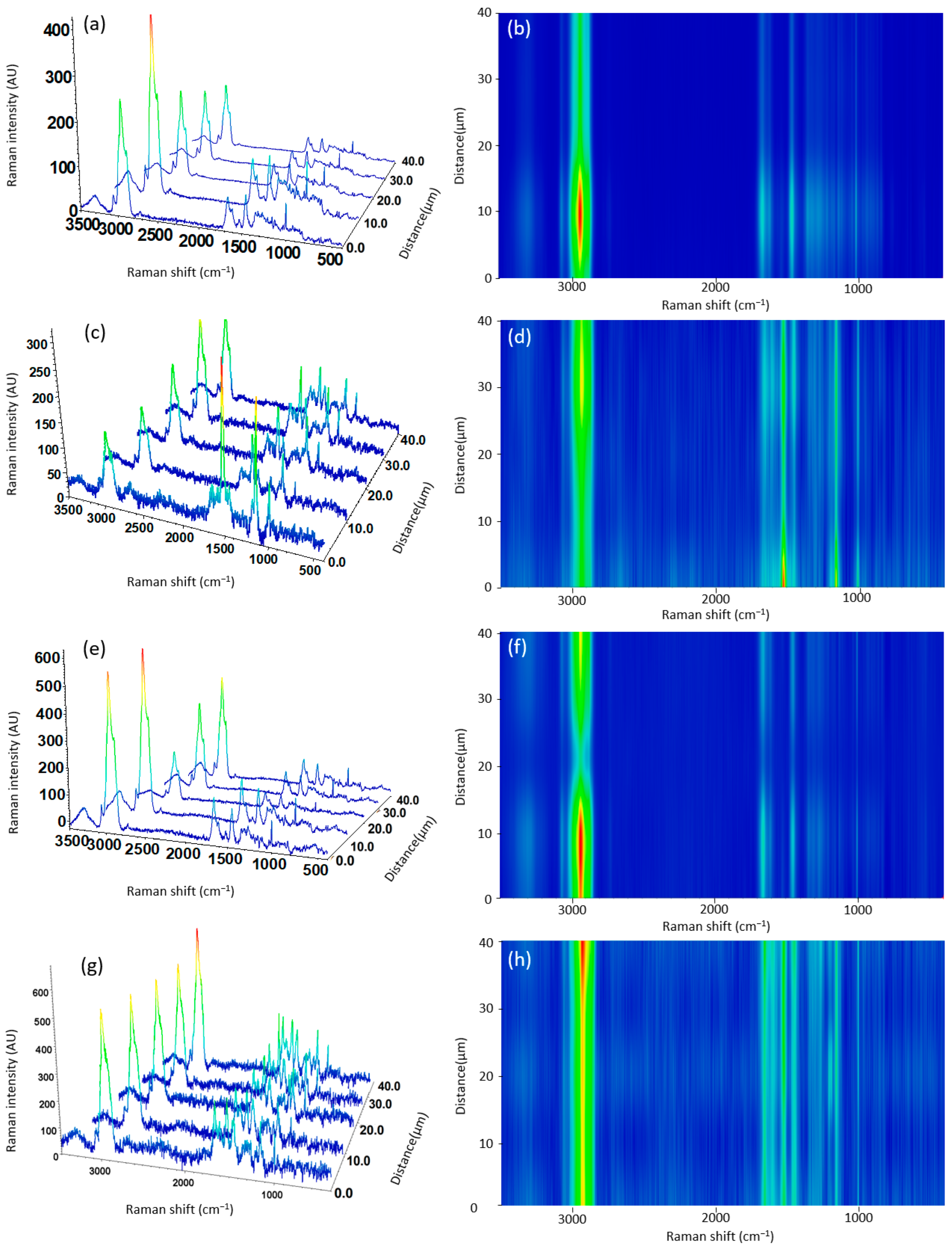 Antioxidants 13 01145 g006
