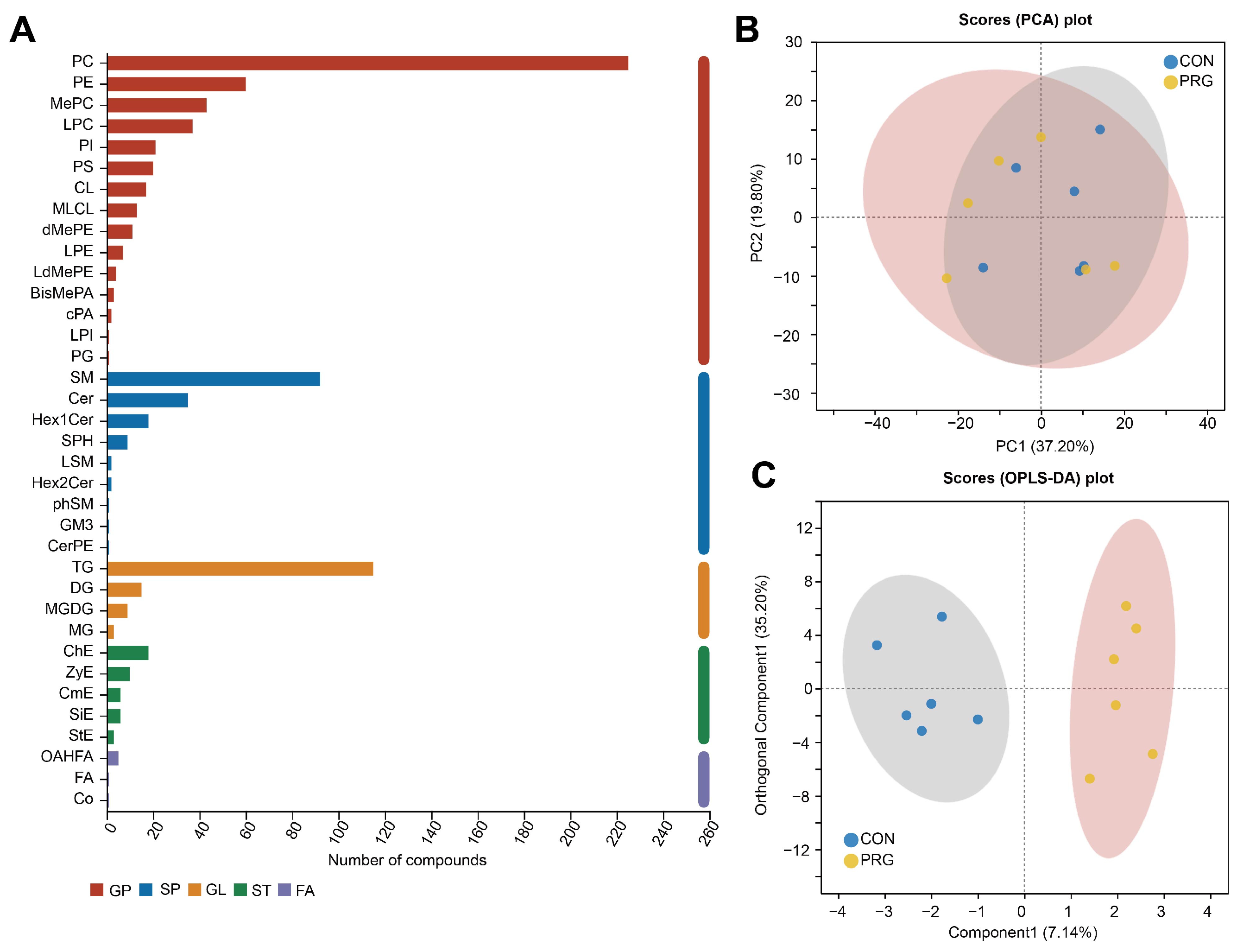 Antioxidants 13 01146 g003