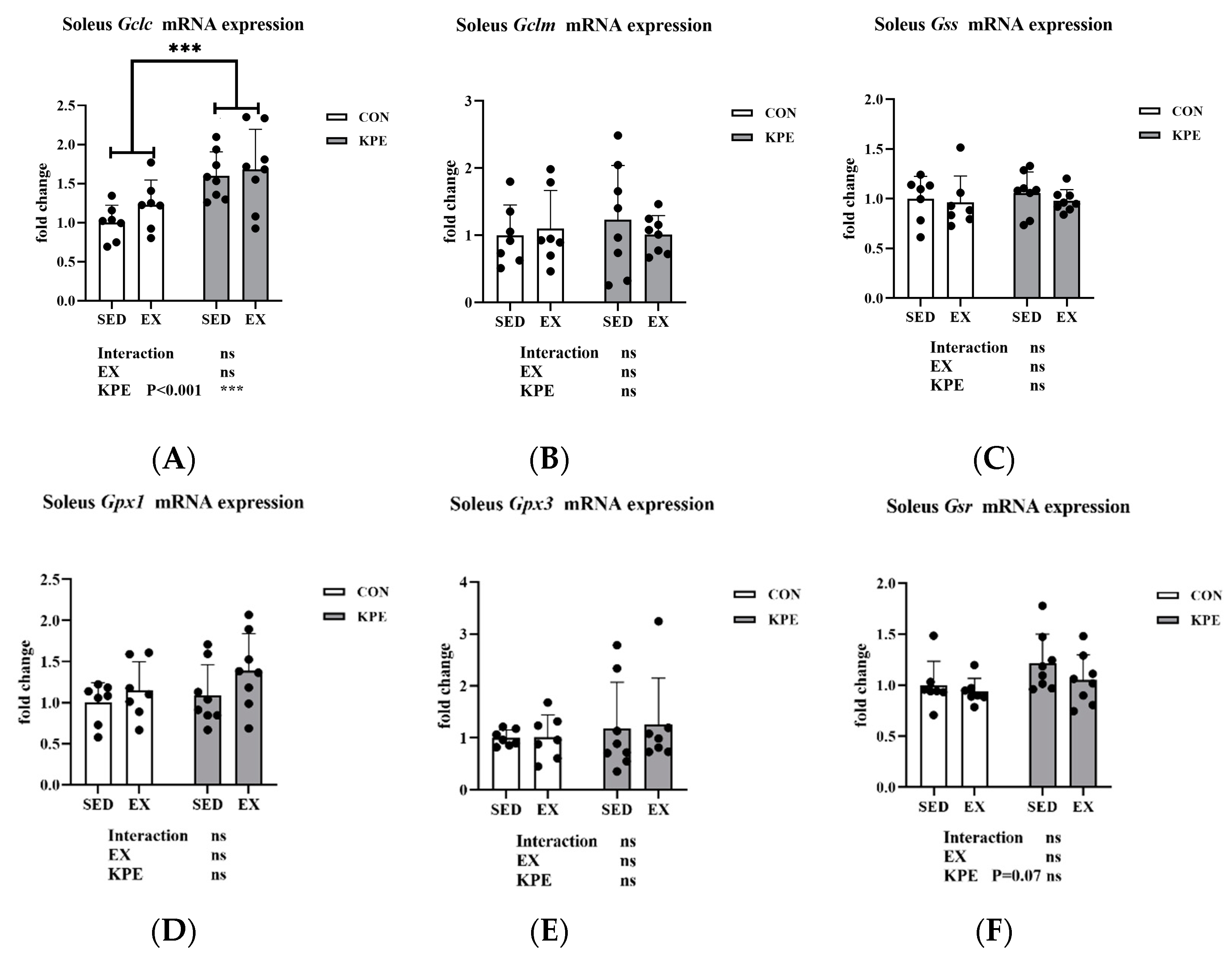 Antioxidants 13 01147 g007 Antioxidants 13 01147 g007