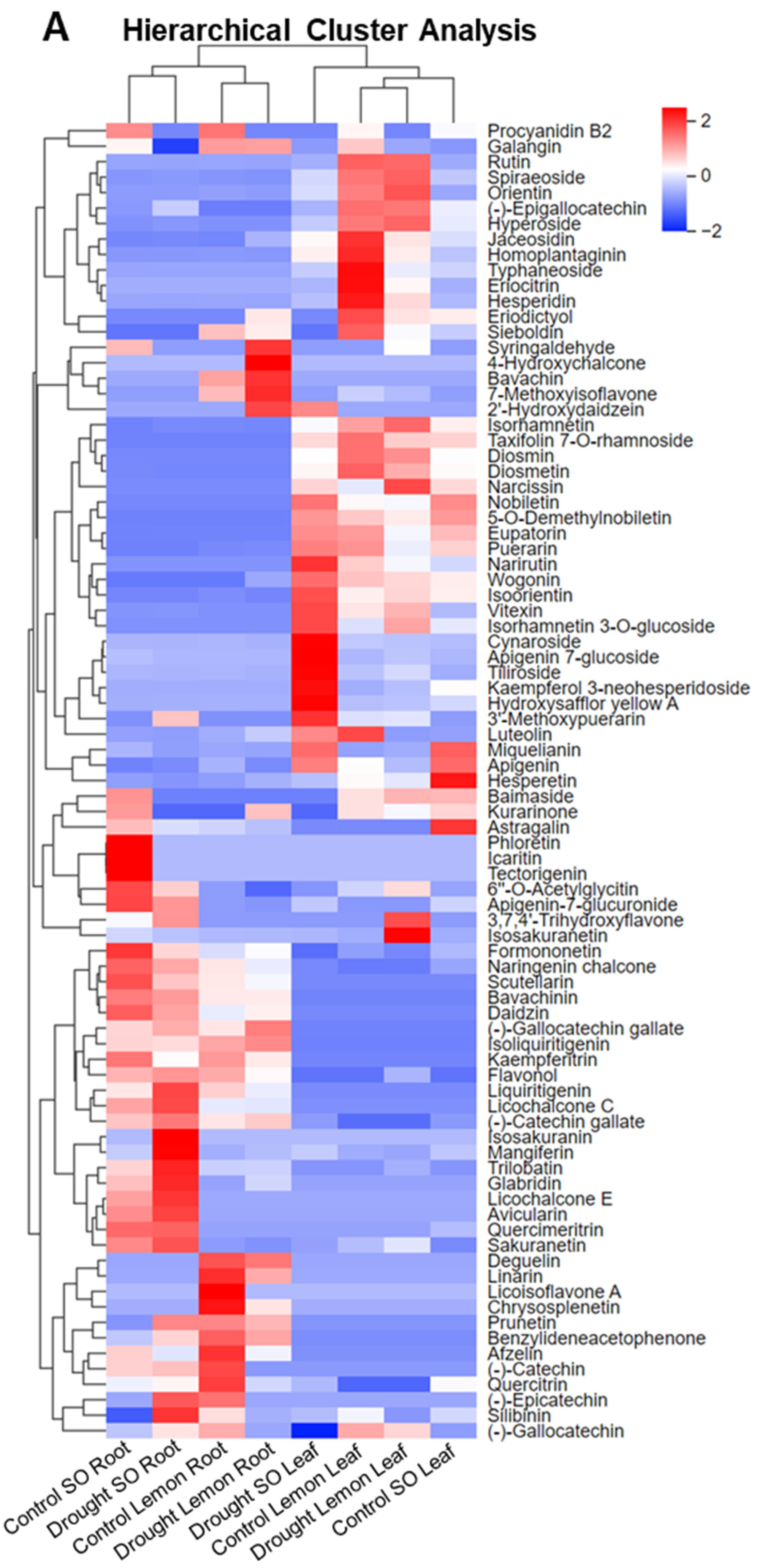 Antioxidants 13 01149 g002a