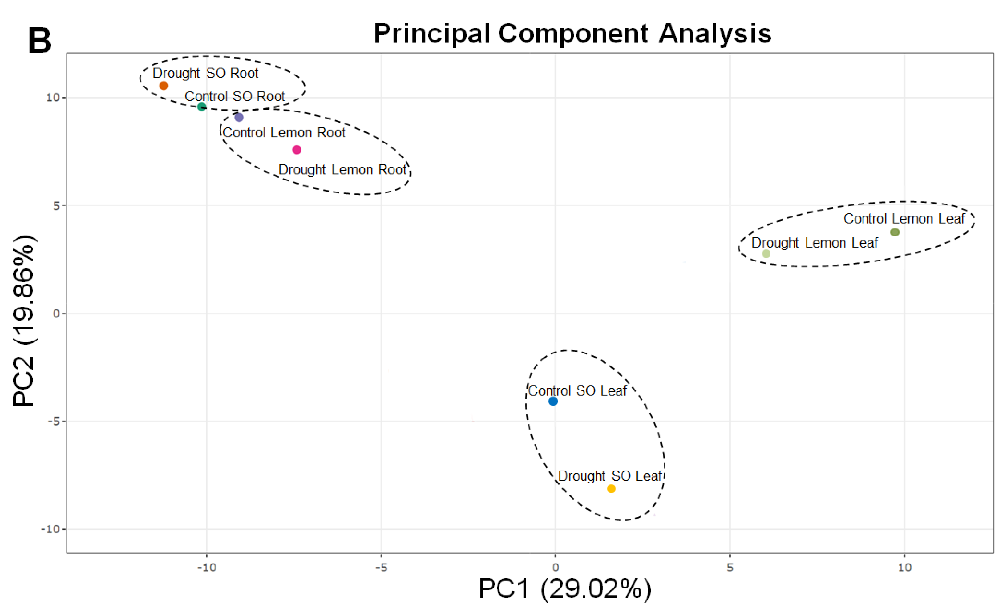 Antioxidants 13 01149 g002b