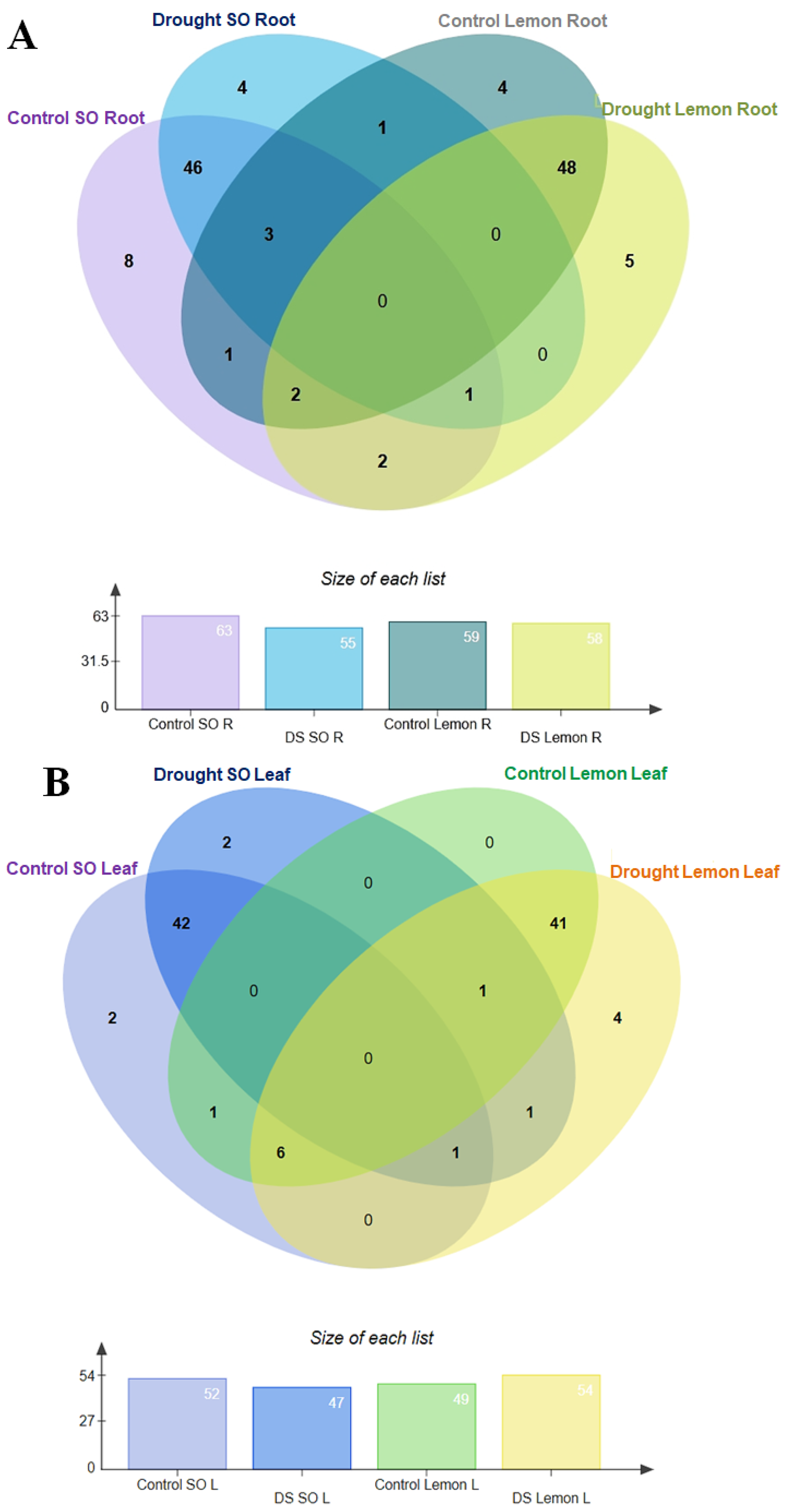 Antioxidants 13 01149 g003