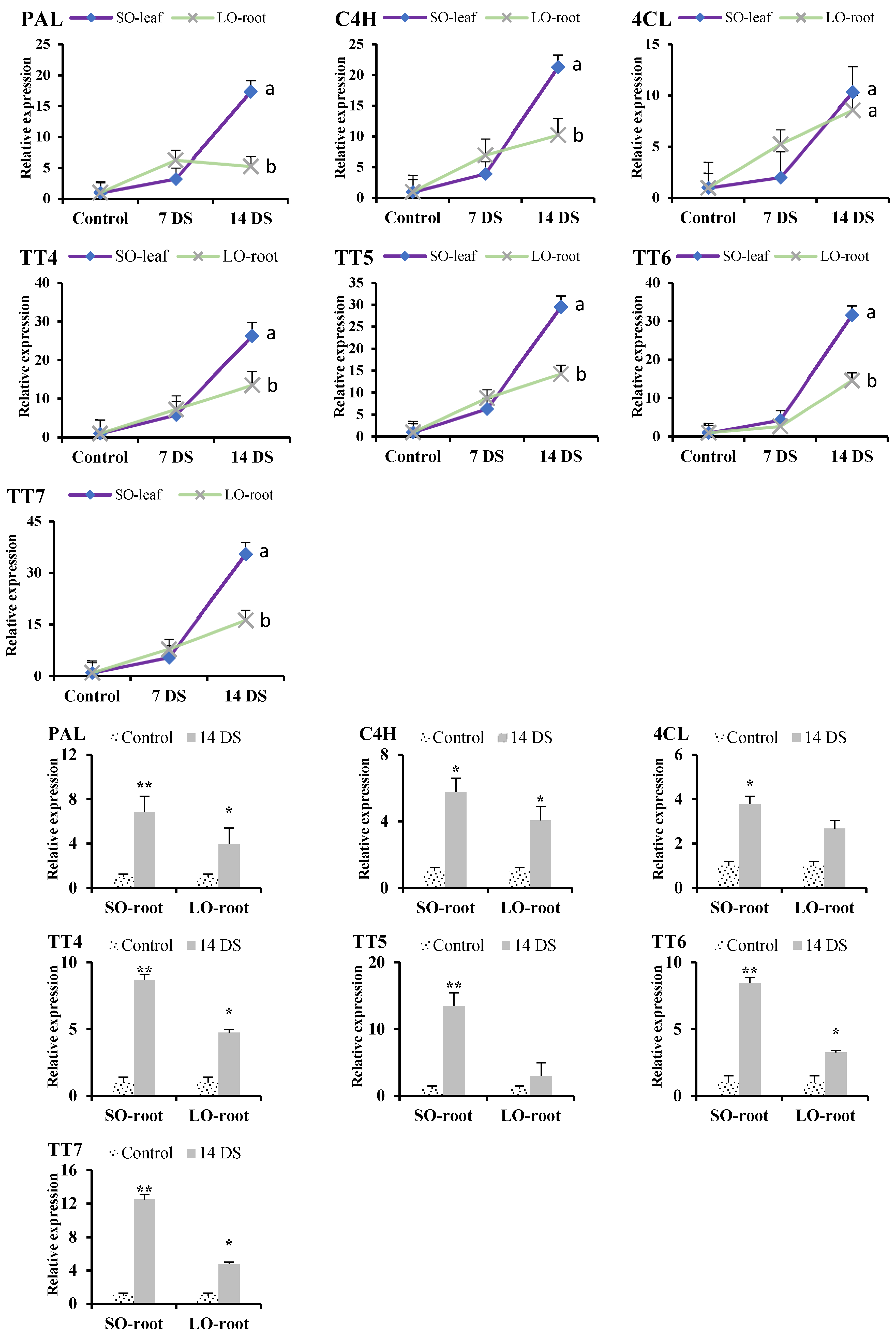 Antioxidants 13 01149 g005
