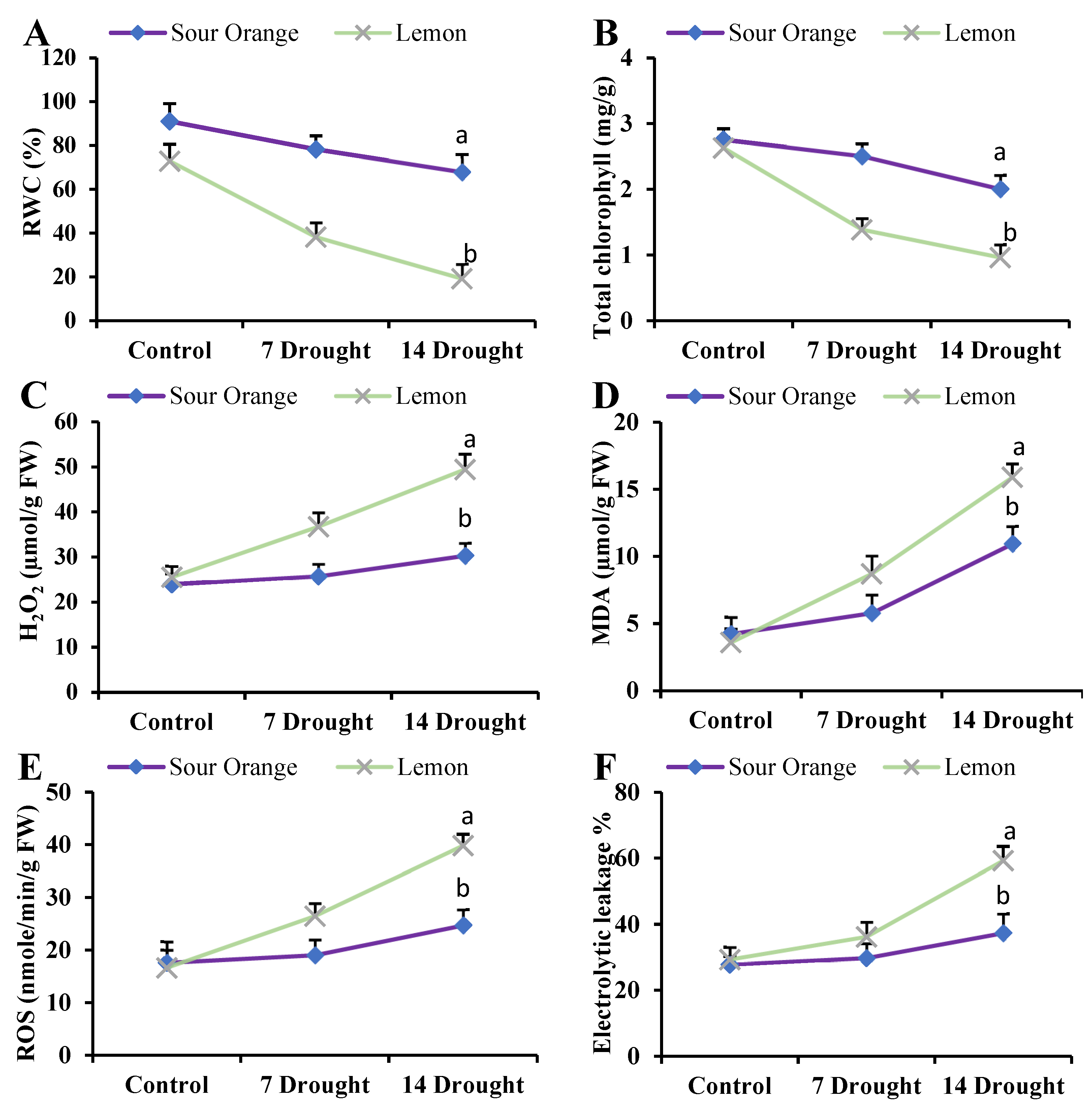 Antioxidants 13 01149 g007