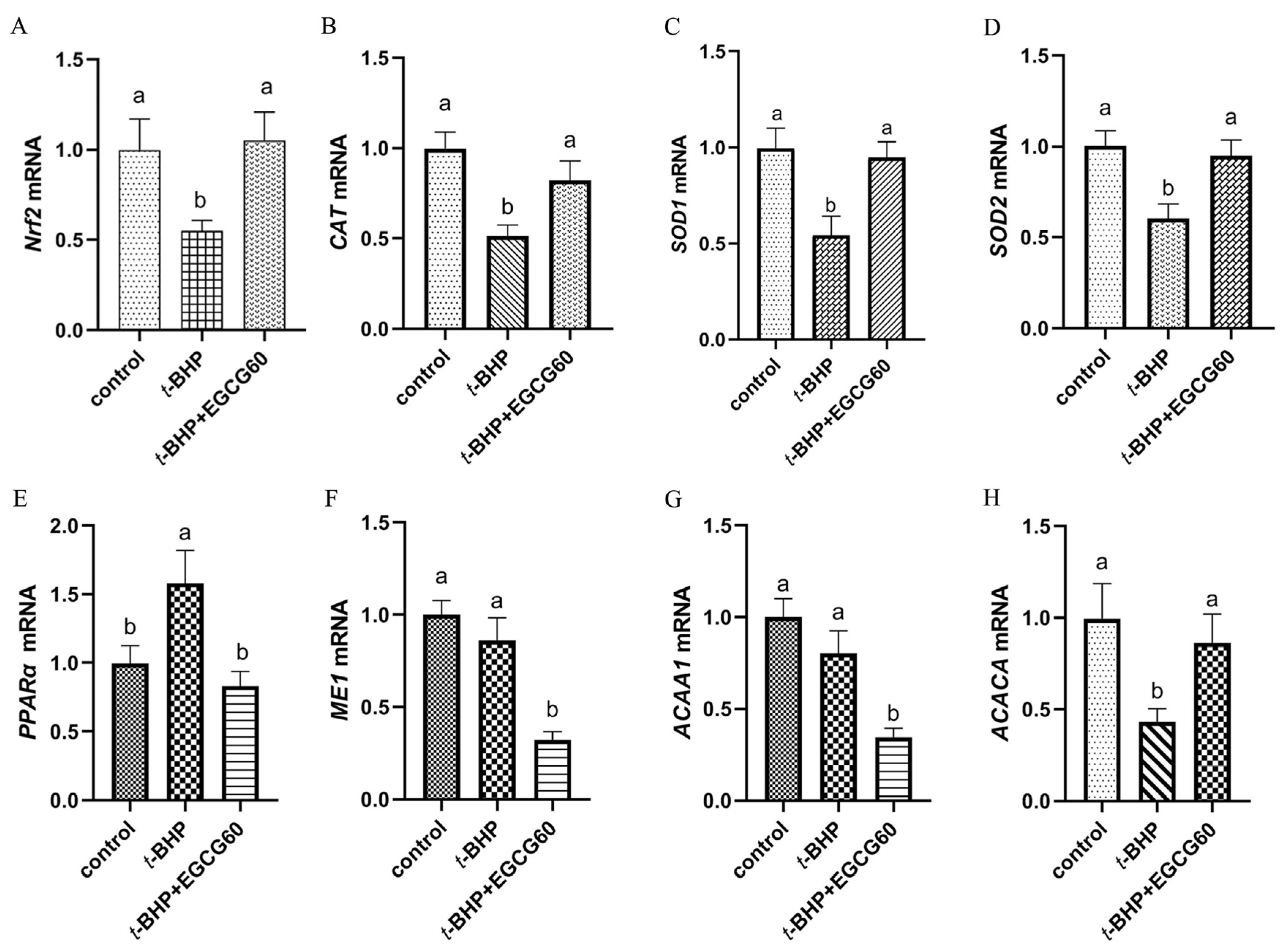 Antioxidants 13 01153 g003