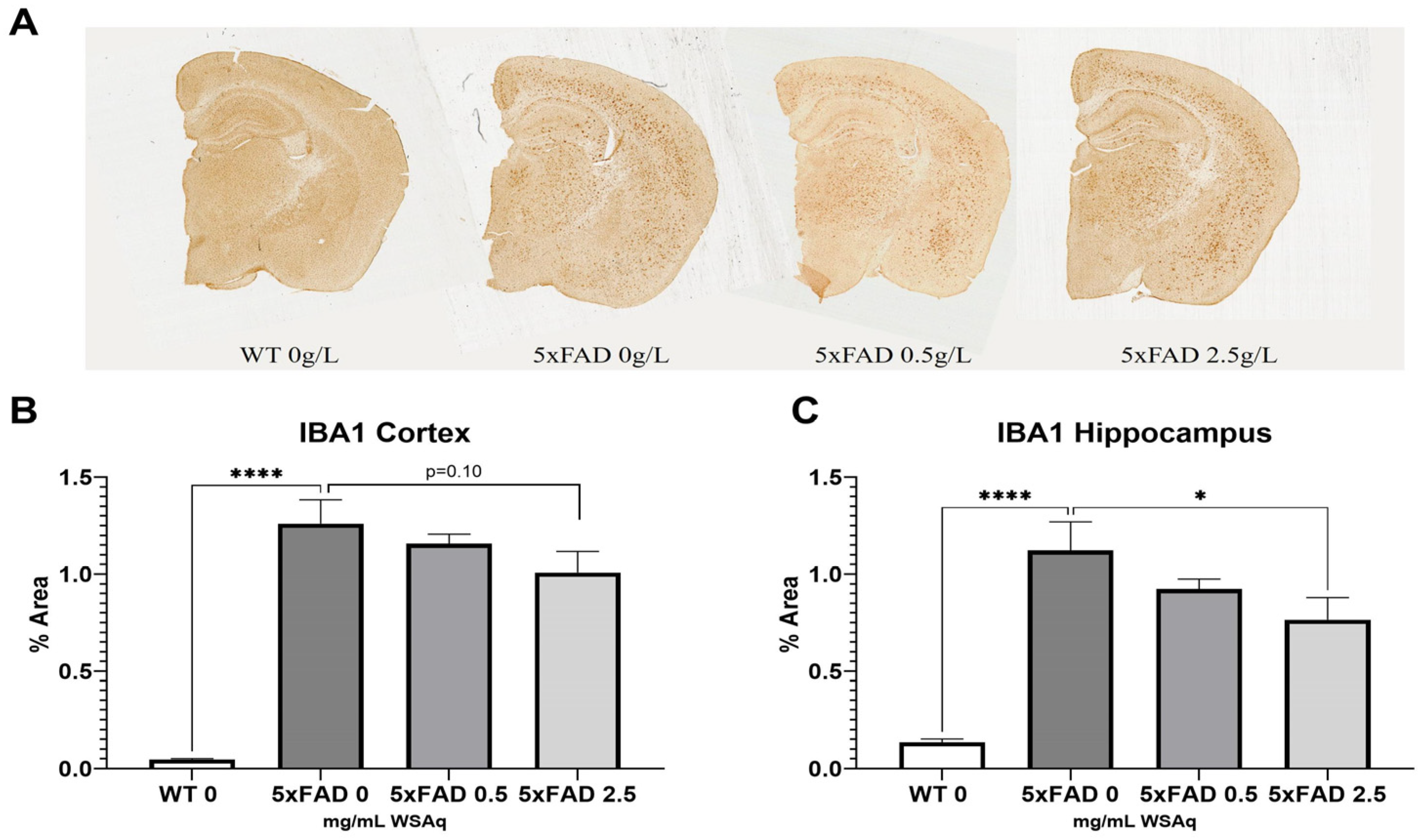 Antioxidants 13 01164 g007
