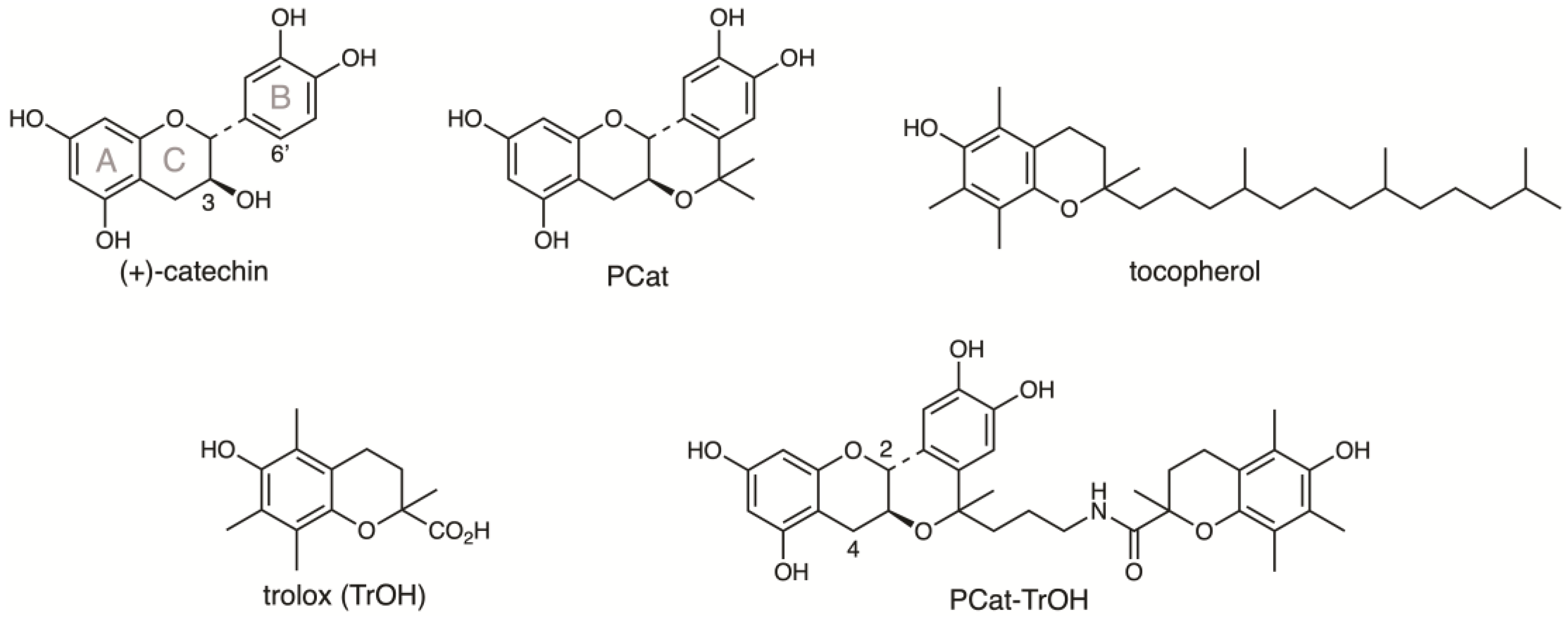 Antioxidants 13 01165 g001