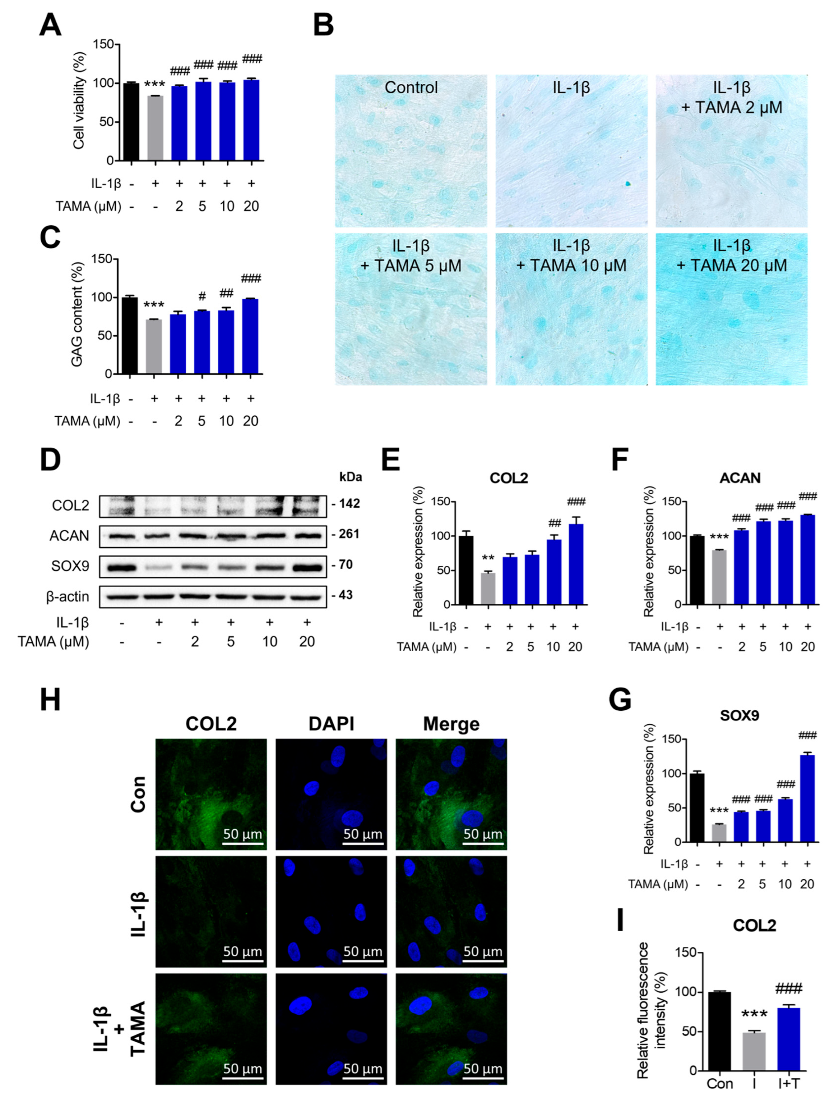 Antioxidants 13 01166 g002