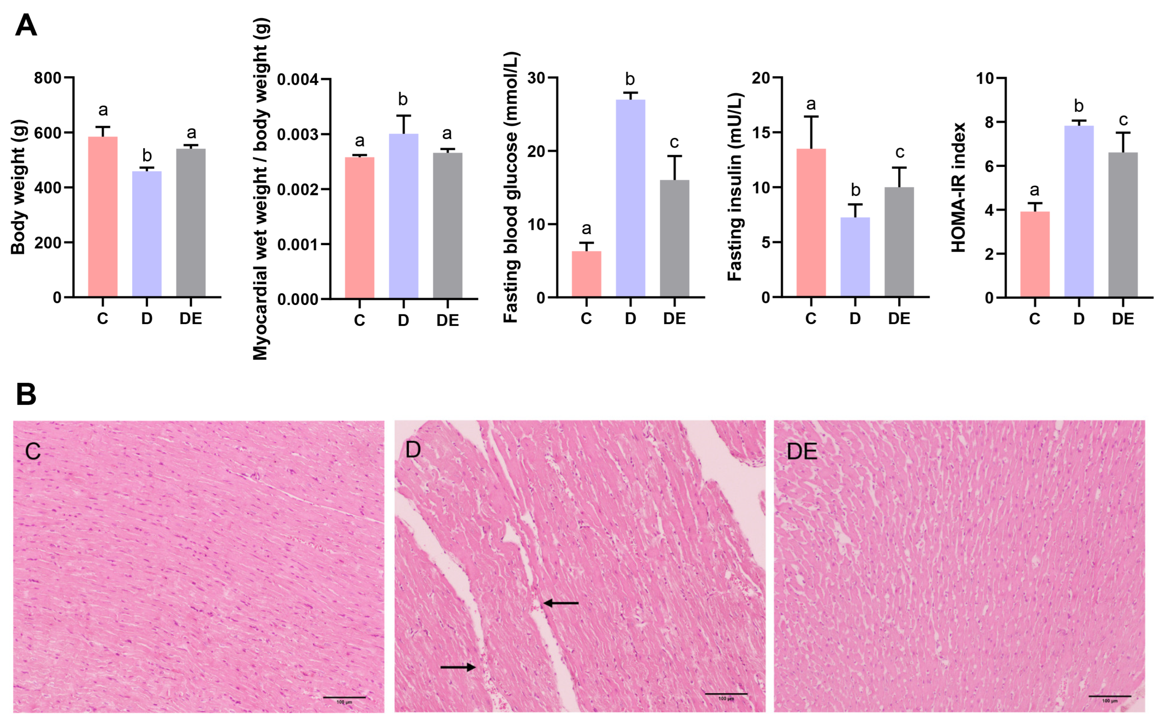 Antioxidants 13 01167 g001