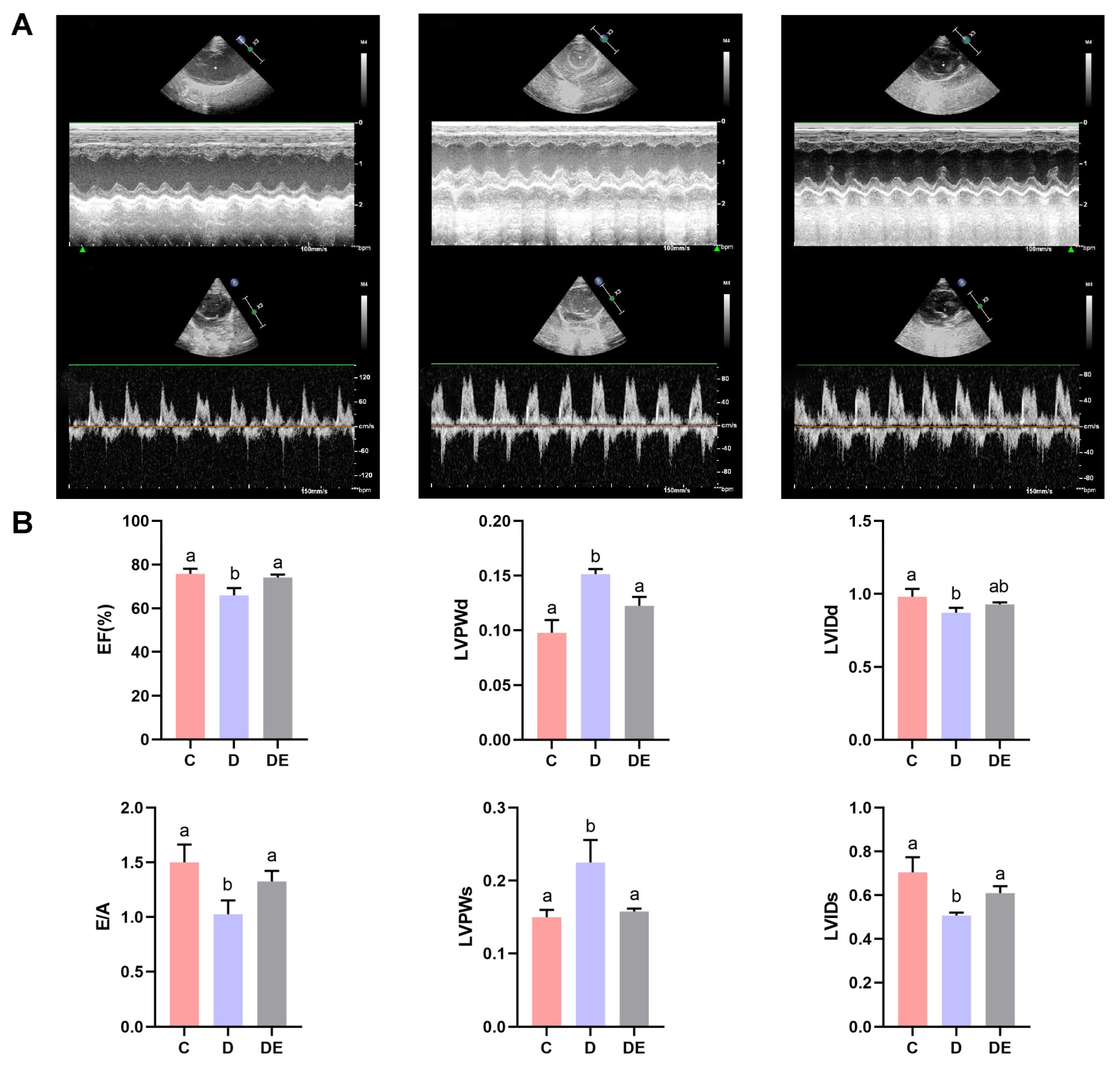Antioxidants 13 01167 g002