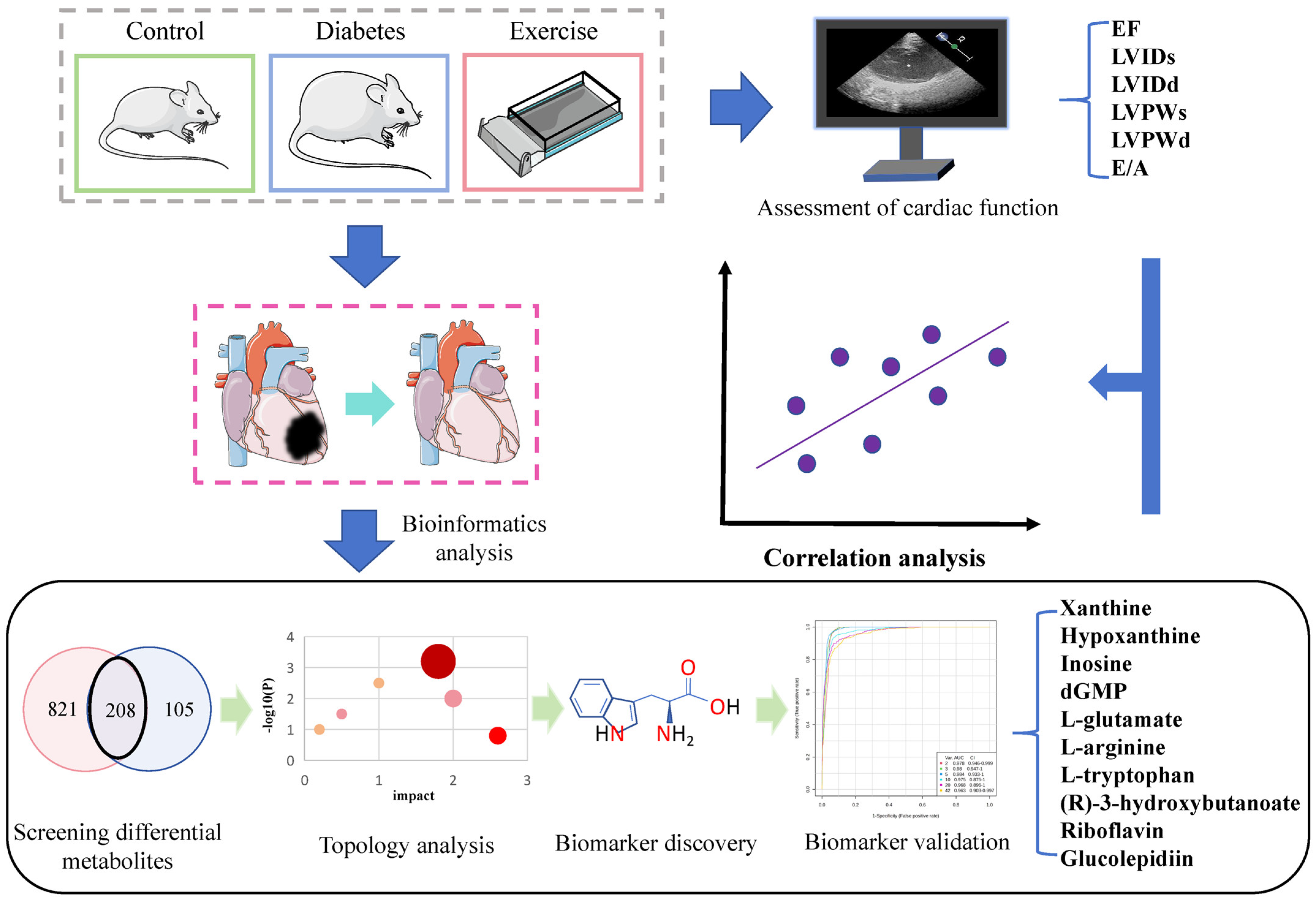 Antioxidants 13 01167 g008