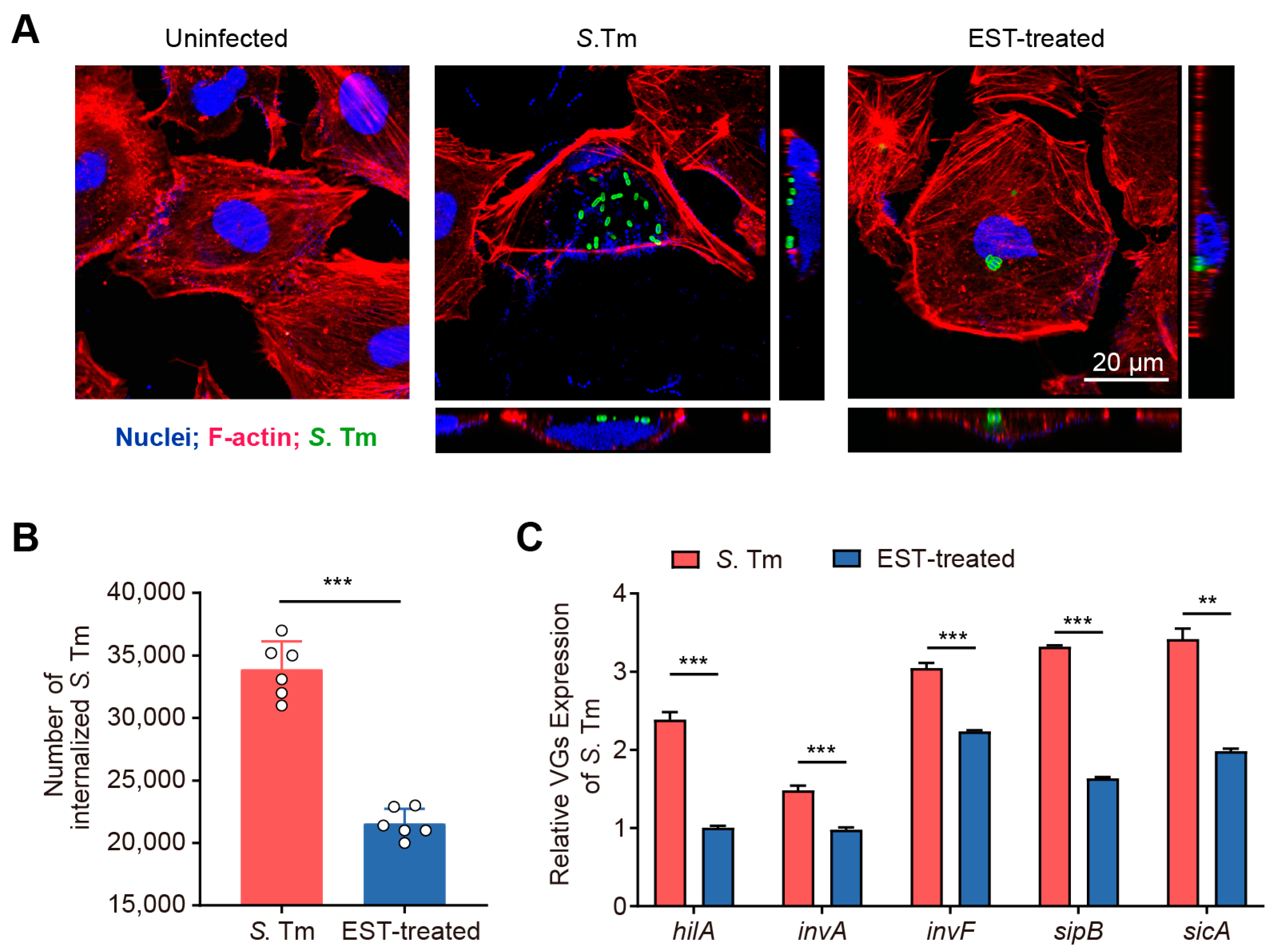 Antioxidants 13 01170 g003