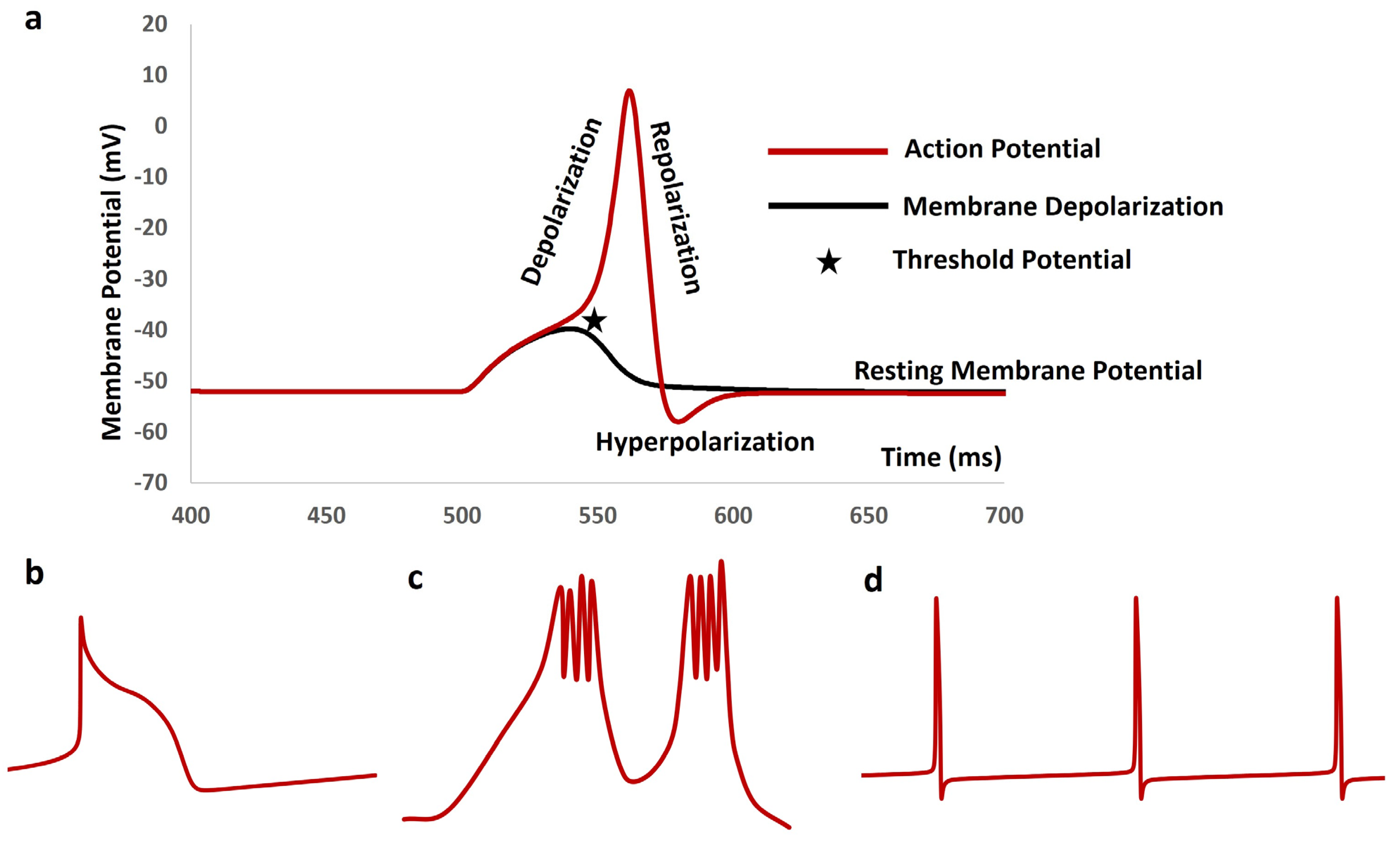 Antioxidants 13 01172 g002