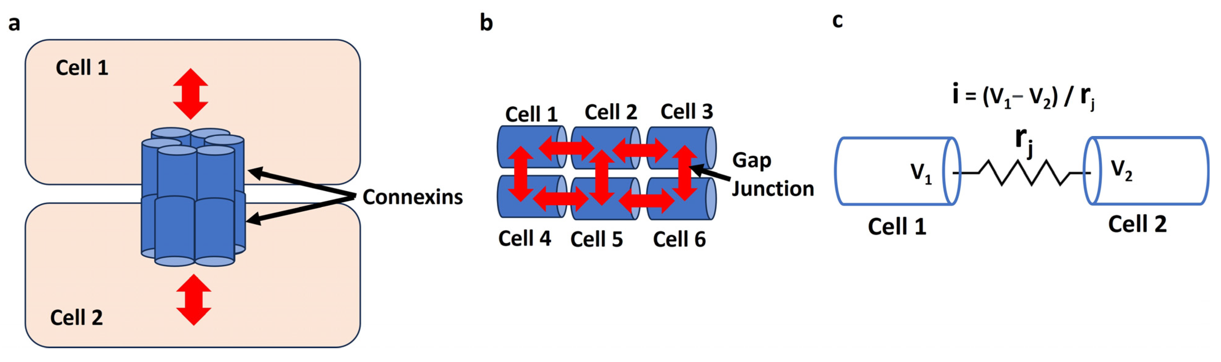 Antioxidants 13 01172 g003