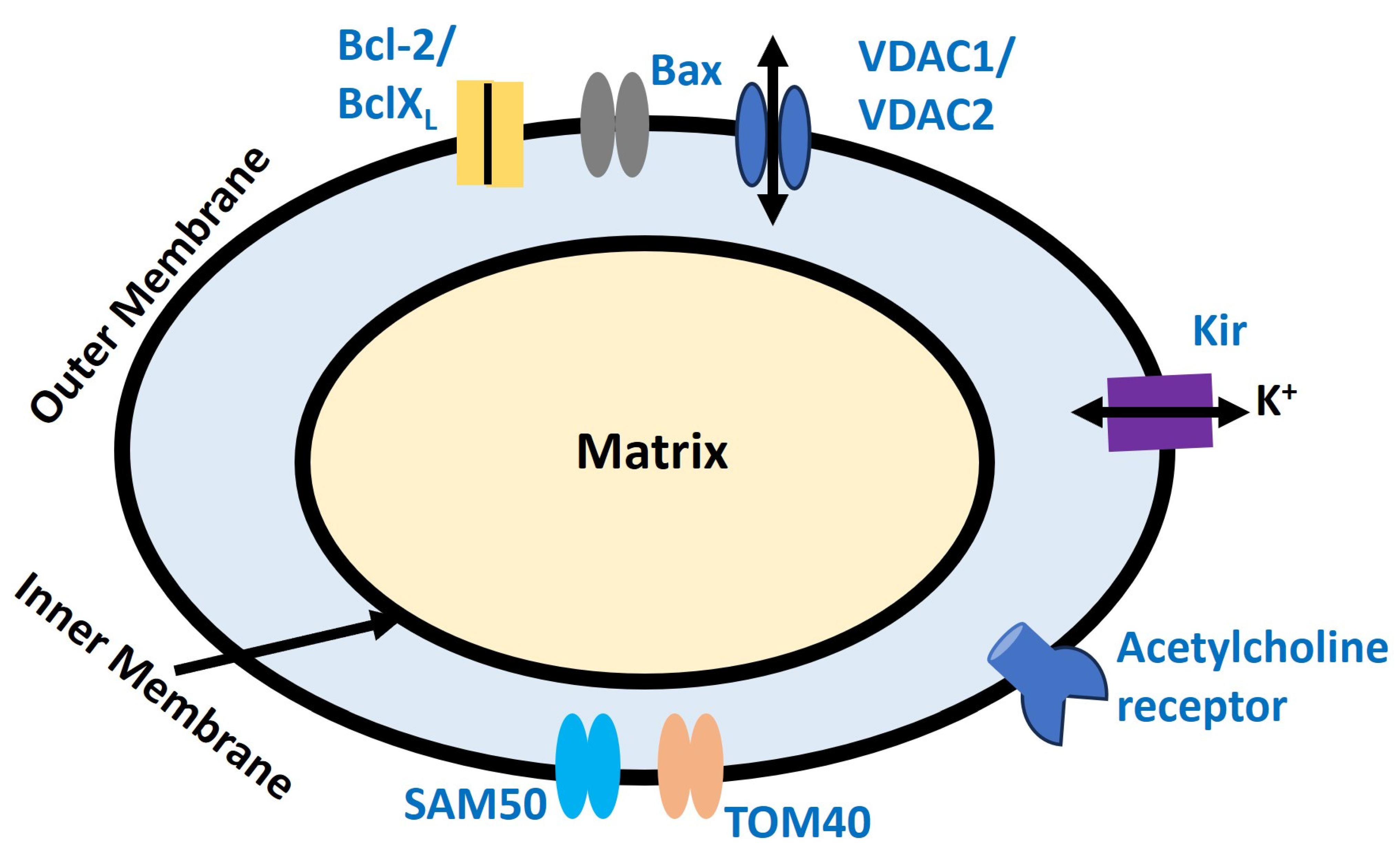 Antioxidants 13 01172 g006
