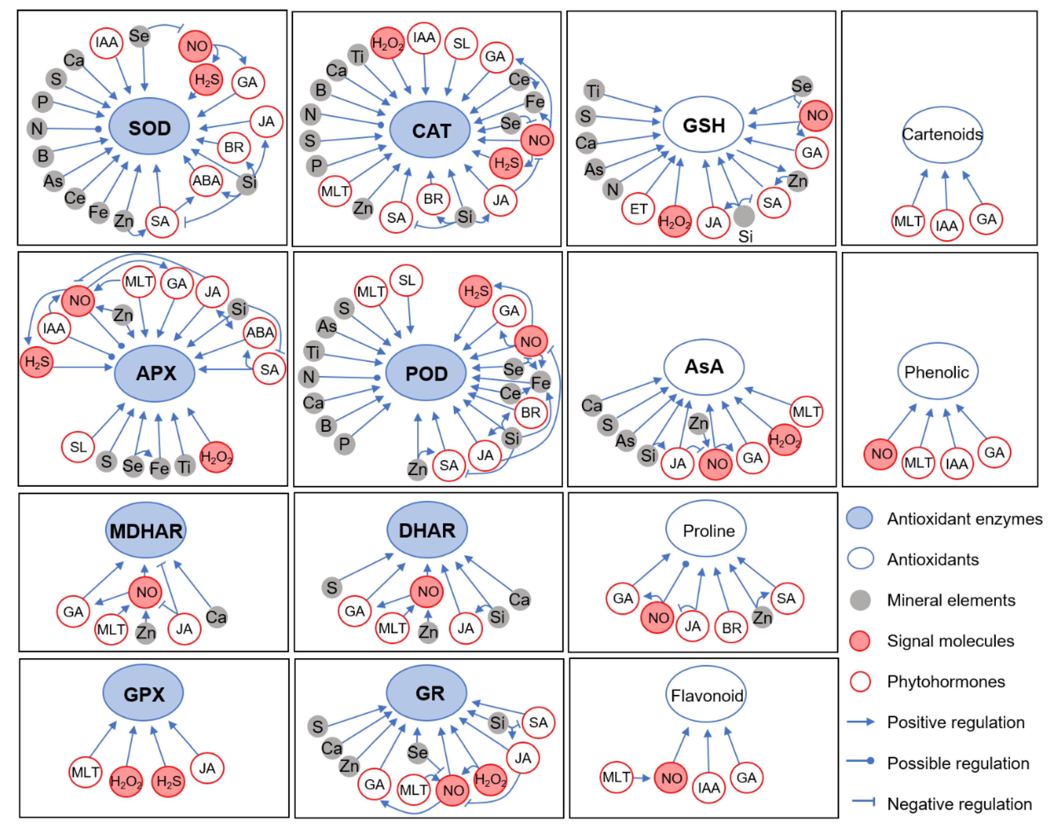 Antioxidants 13 01174 g002