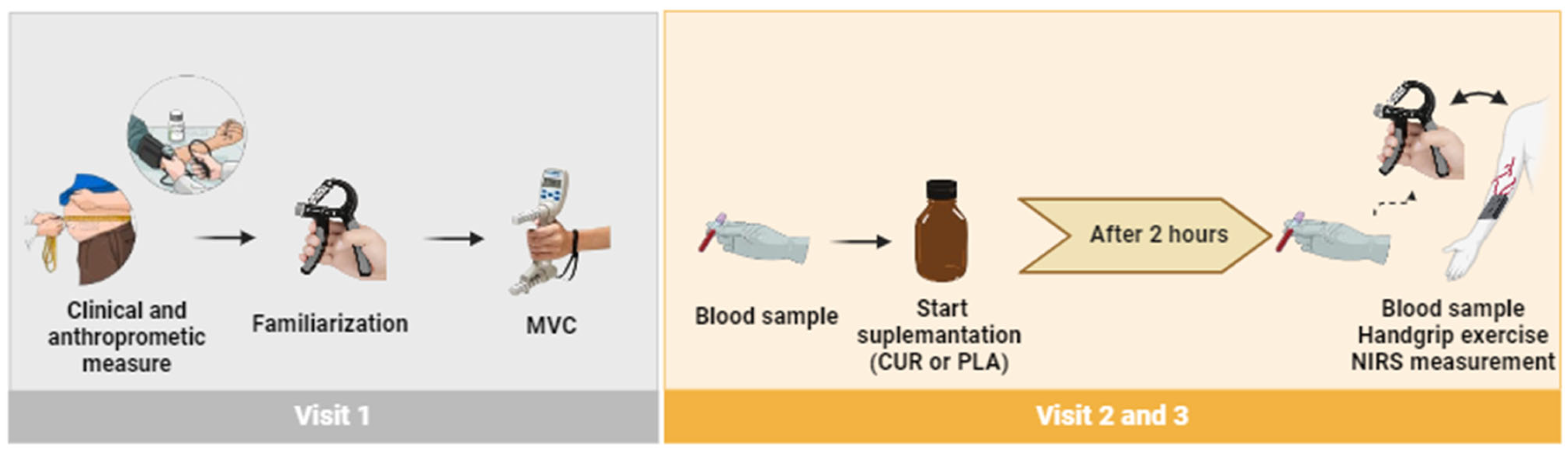 Antioxidants 13 01175 g001